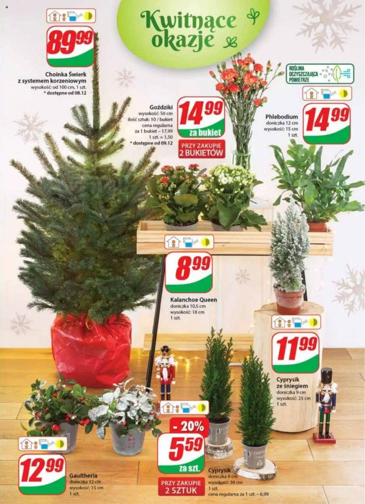 Dino gazetka ważna od 07.12.2022 do 13.12.2022 strona 21