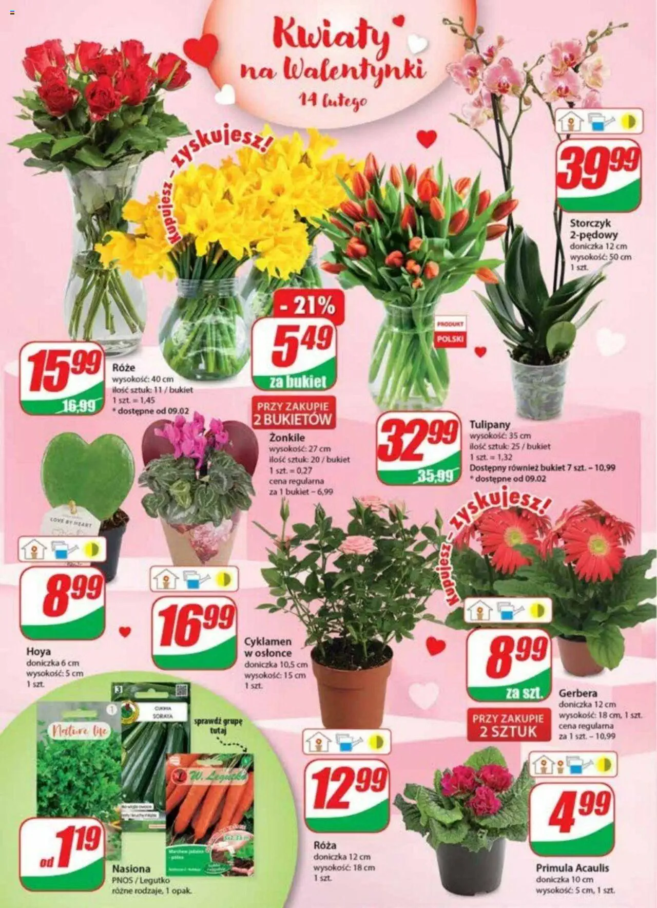 Dino Gazetka ważna od 08.02.2023 do 14.02.2023 strona 22
