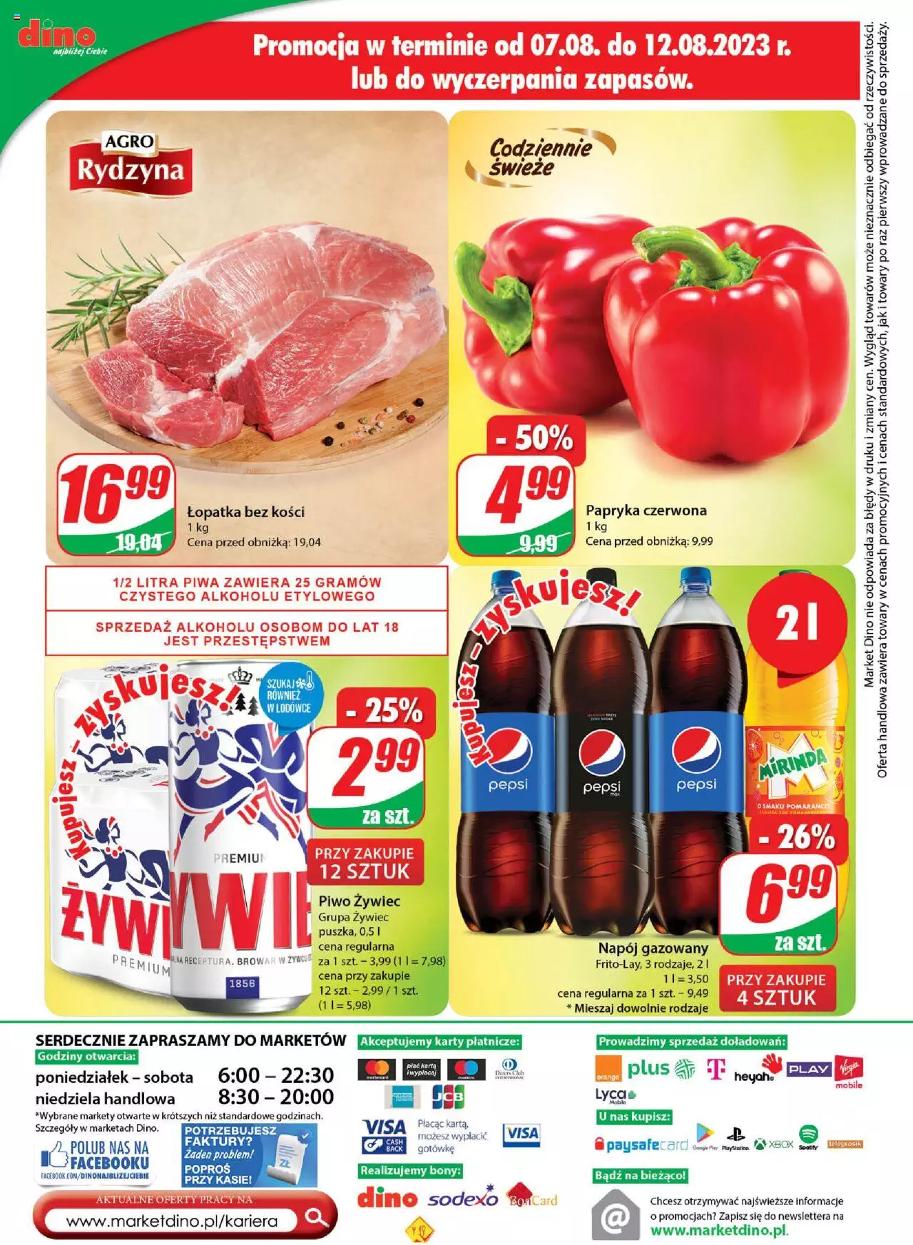 Dino gazetka ważna od 09.08.2023 do 14.08.2023 strona 21