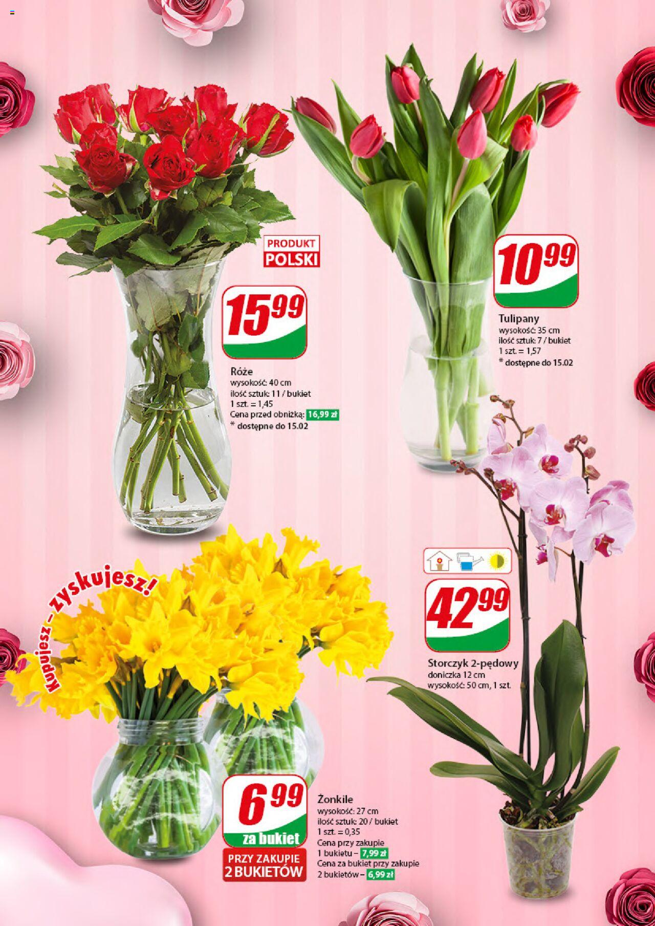 Dino gazetka ważna od 14.02.2024 do 20.02.2024 strona 10