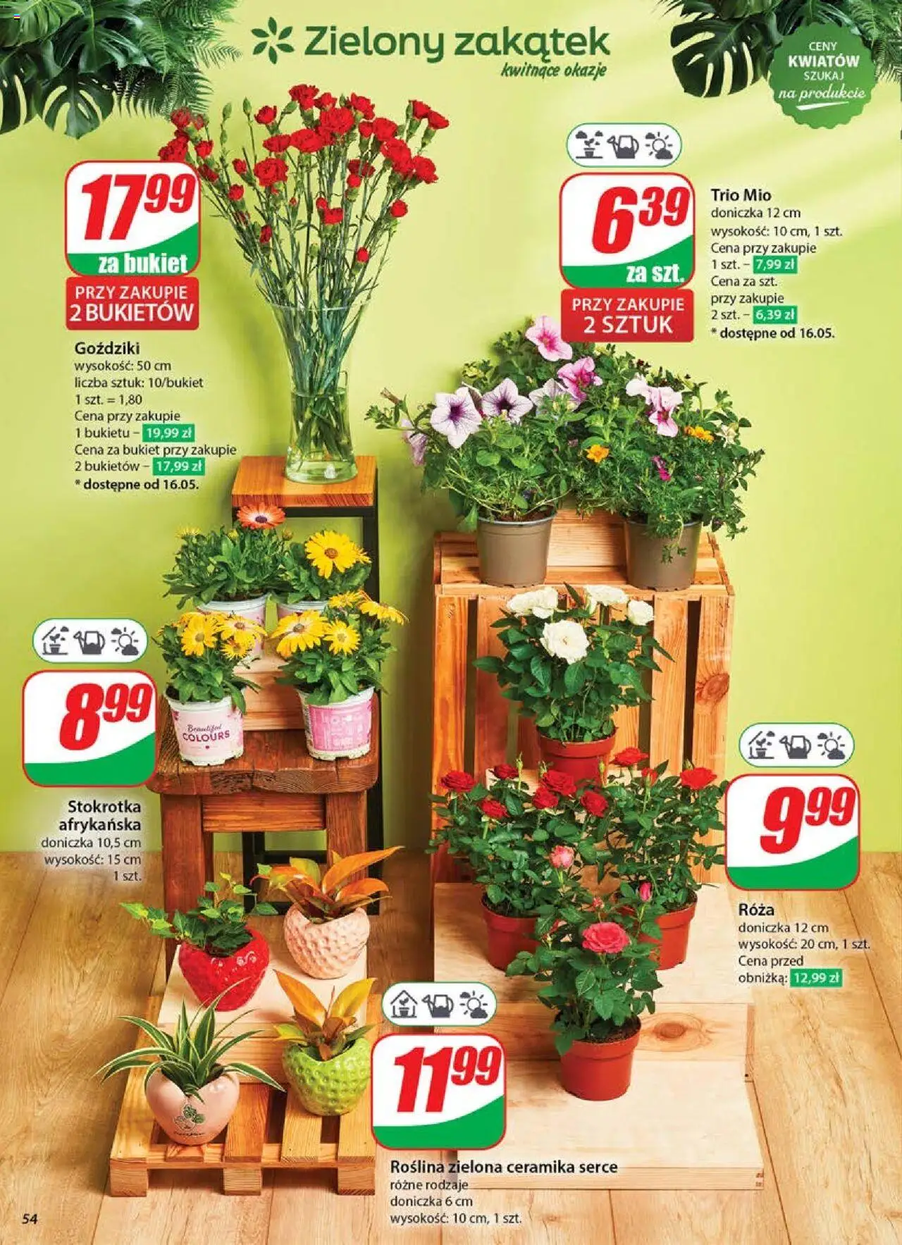 Dino gazetka ważna od 14.05.2025 do 20.05.2025 strona 54