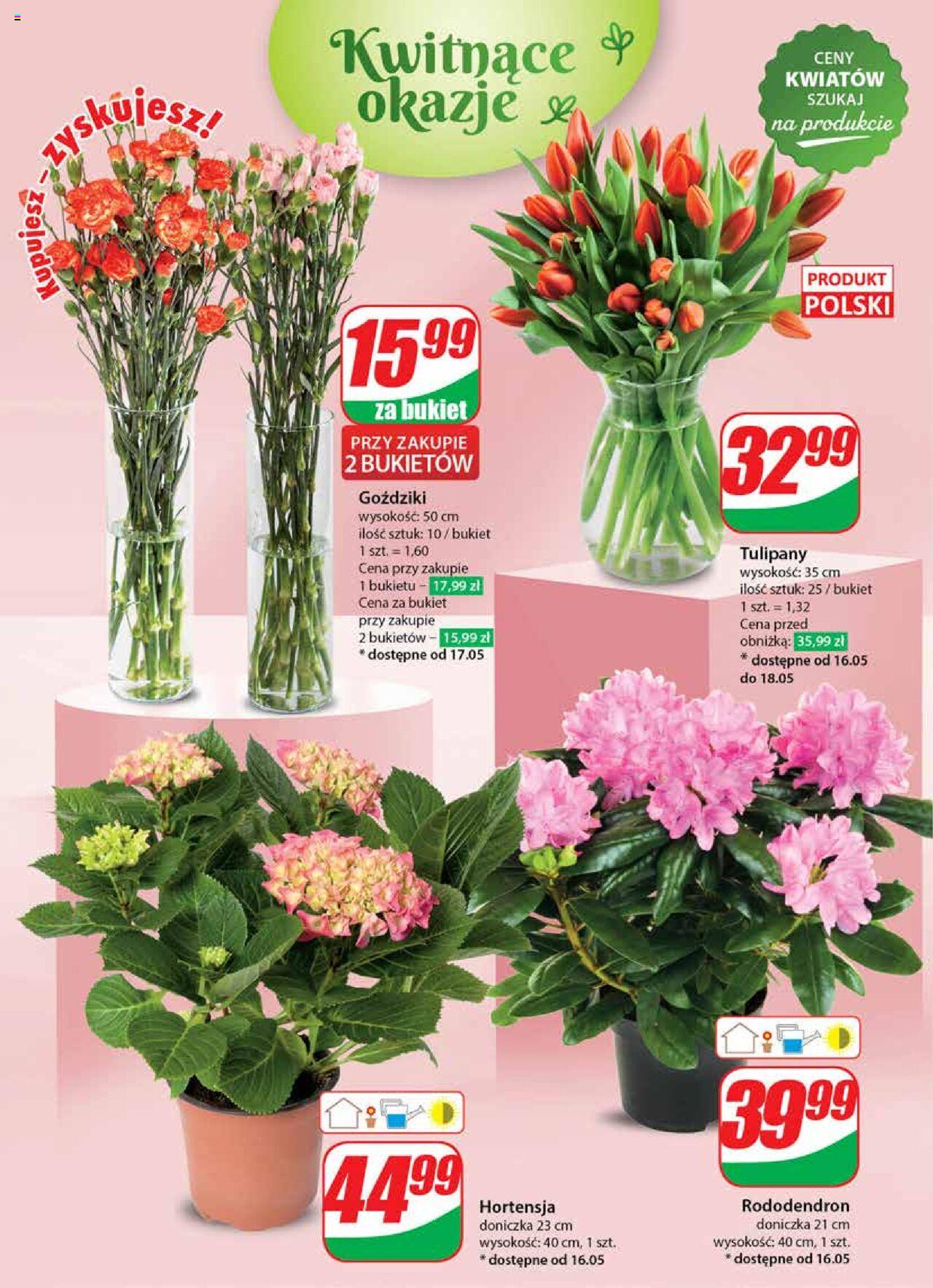 Dino gazetka ważna od 15.05.2024 do 21.05.2024 strona 50