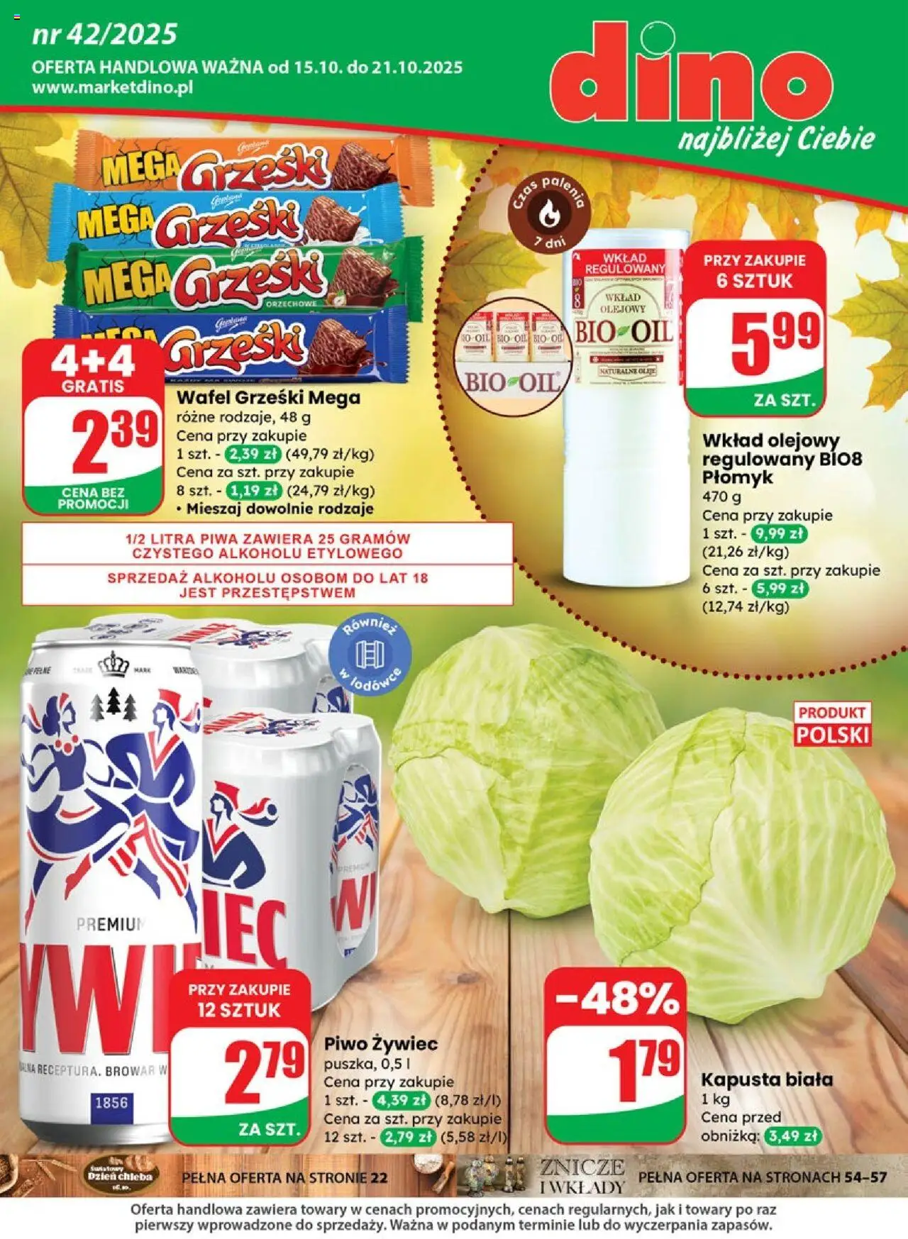 Dino gazetka ważna od 15.10.2025 do 21.10.2025 strona 1