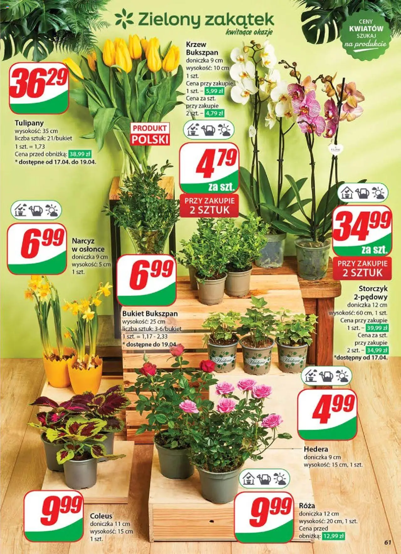 Dino gazetka ważna od 16.04.2025 do  22.04.2025 strona 57