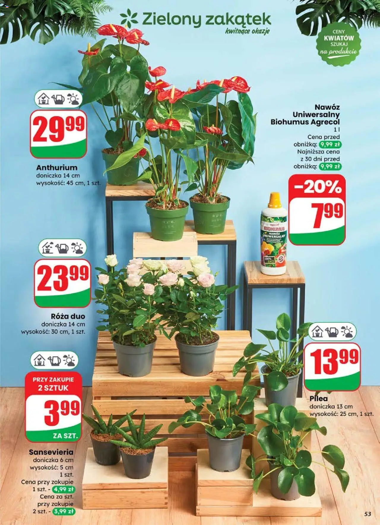 Dino gazetka ważna od 16.07.2025 do 22.07.2025 strona 53