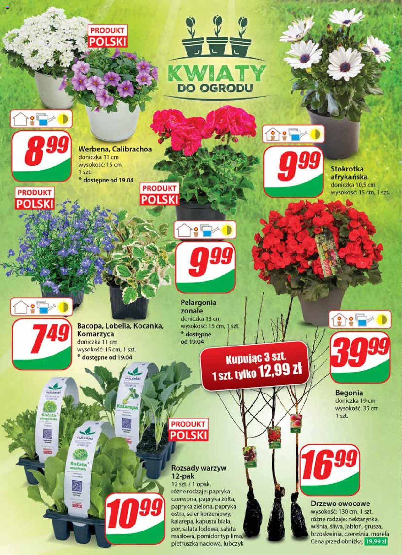 Dino gazetka ważna od 17.04.2024 do 23.04.2024 strona 48