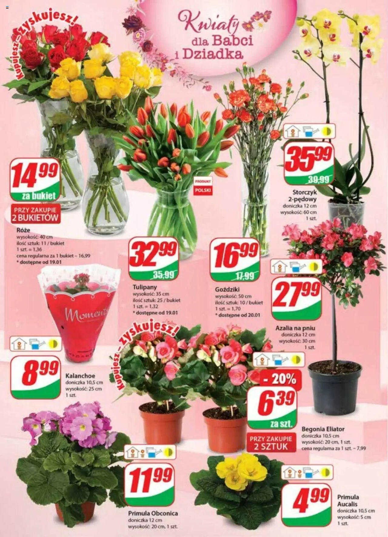 Dino gazetka ważna od 18.01.2023 do 24.01.2023 strona 18