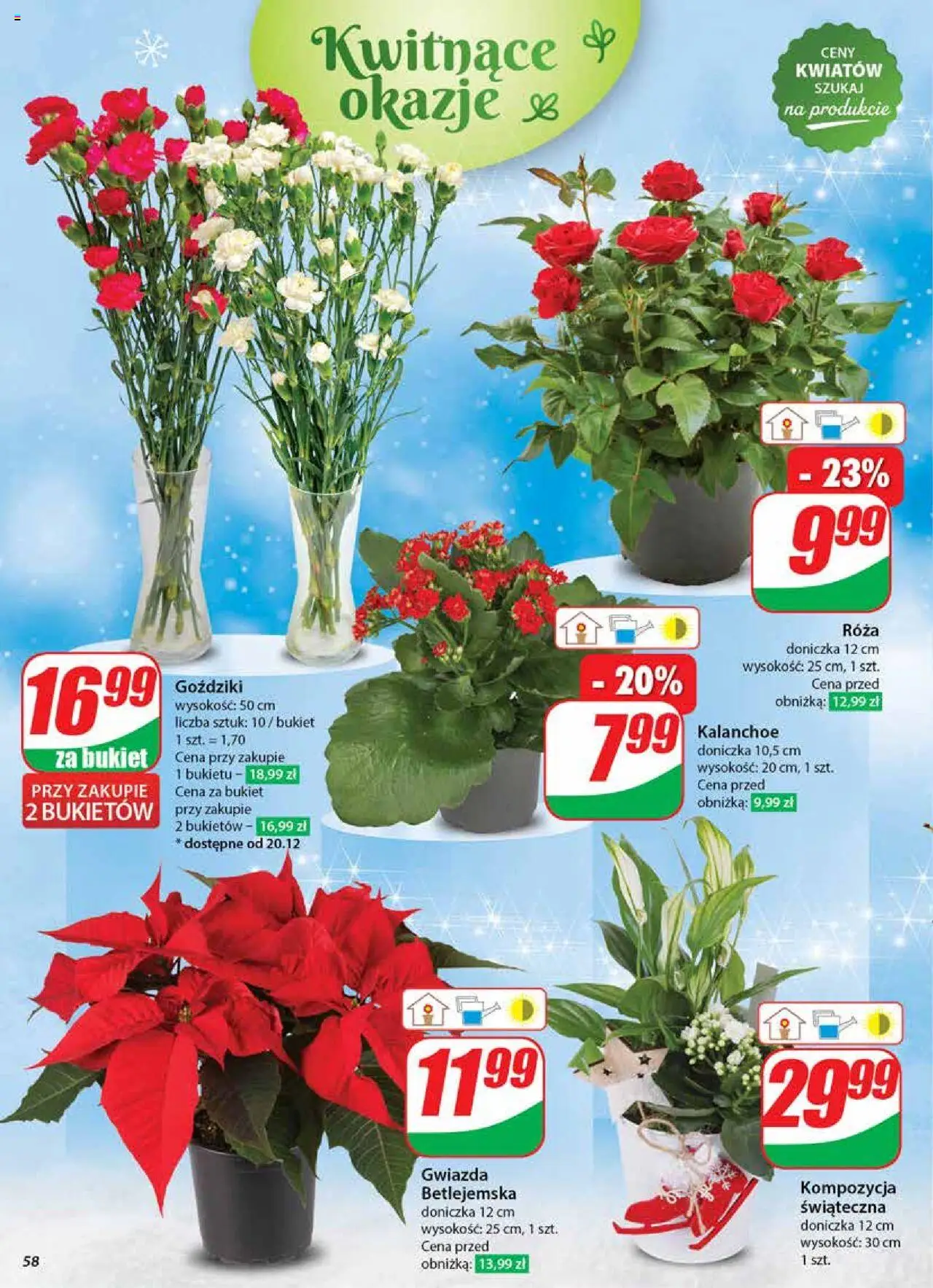 Dino gazetka ważna od 18.12.2024 do 24.12.2024 strona 58