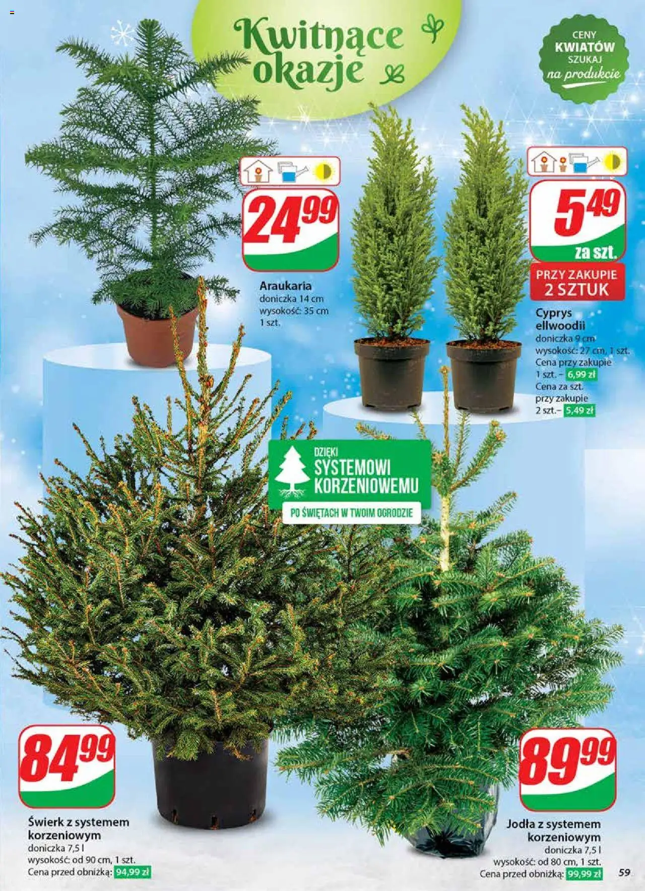 Dino gazetka ważna od 18.12.2024 do 24.12.2024 strona 59