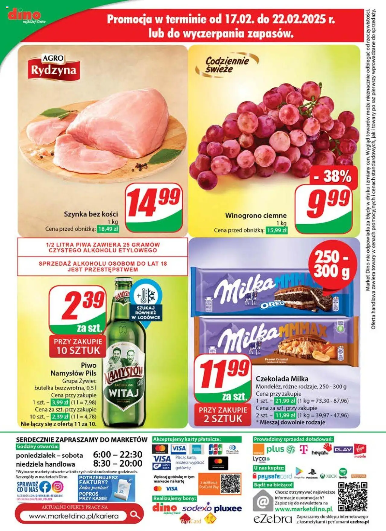 Dino gazetka ważna od 19.02.2025 do 25.02.2025 strona 65