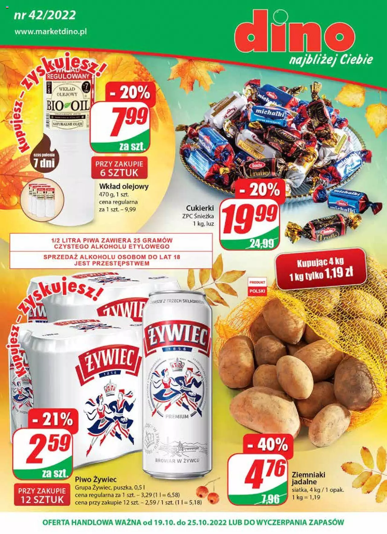Dino gazetka ważna od 19.10.2022 do 25.10.2022 strona 1