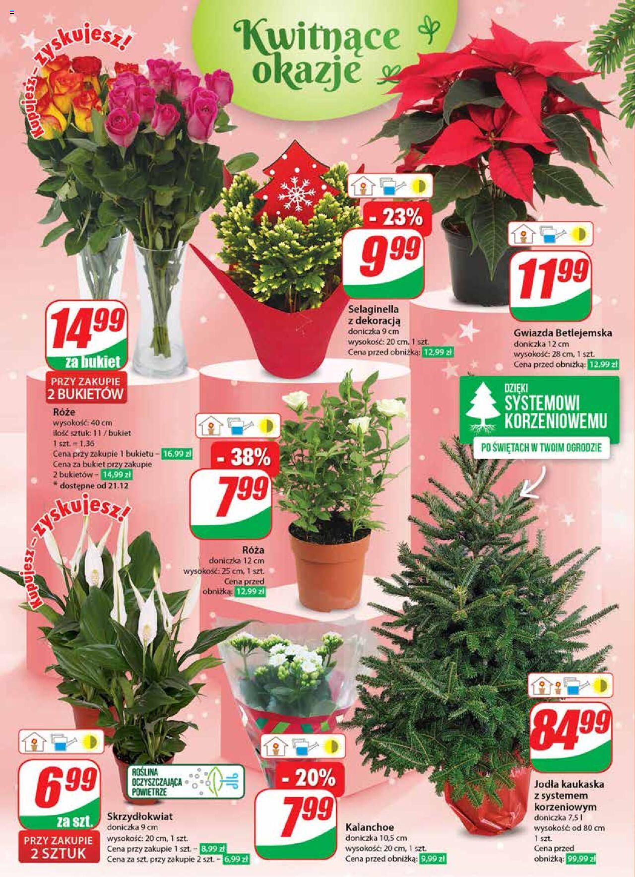 Dino gazetka ważna od 20.12.2023 do 23.12.2023 strona 22