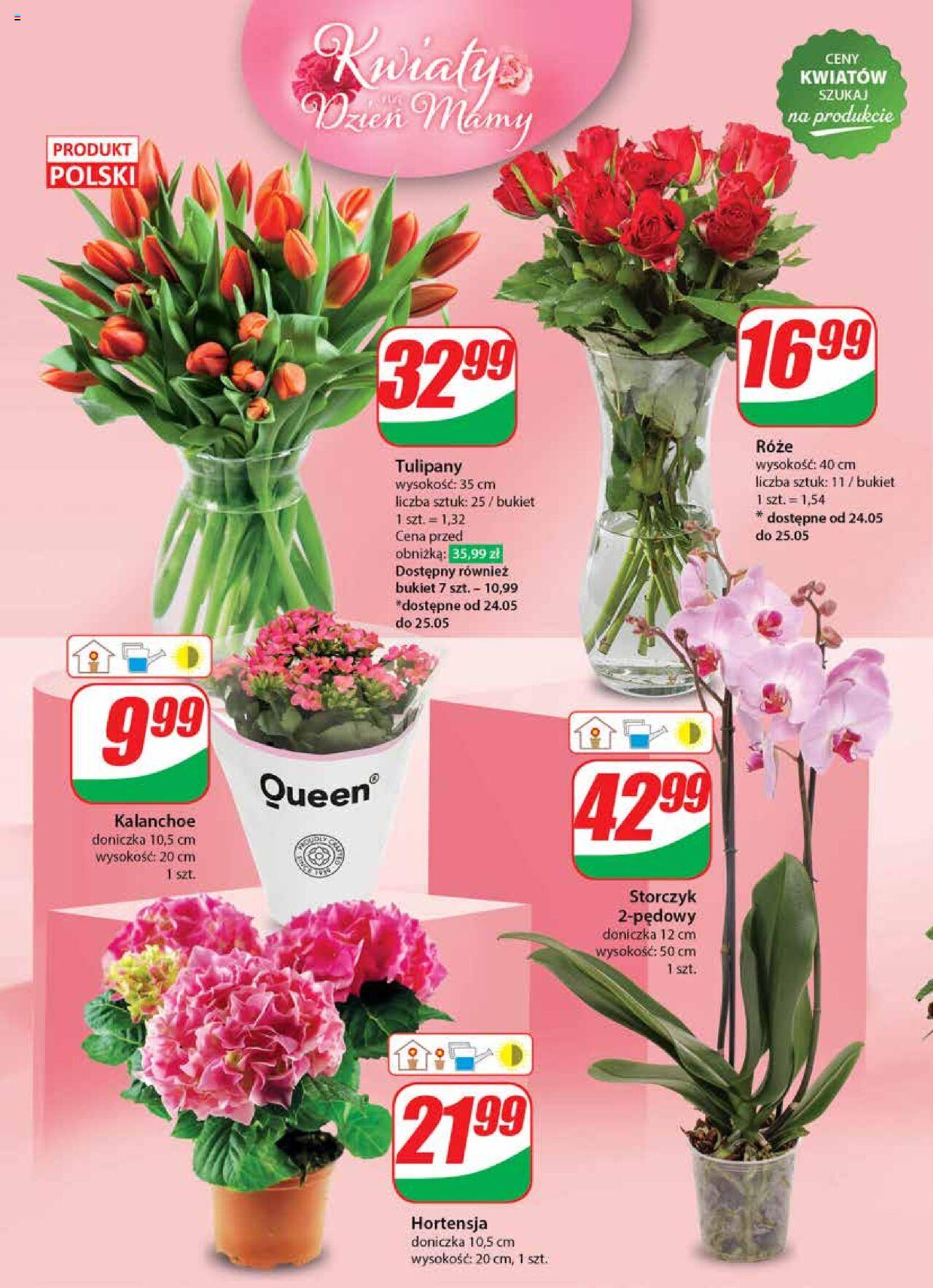 Dino gazetka ważna od 22.05.2024 do 28.05.2024 strona 46