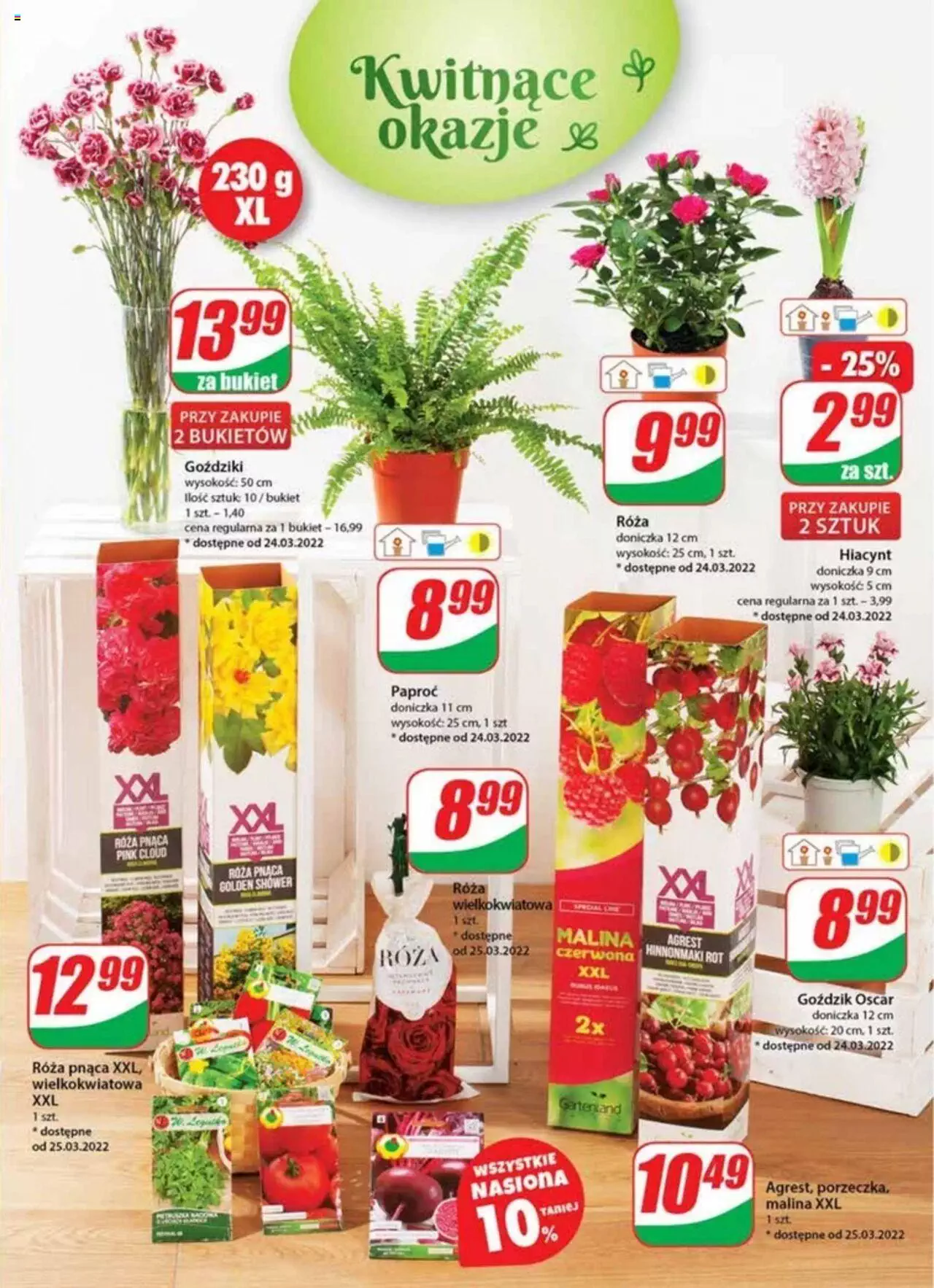 Dino gazetka ważna od 23.03.2022 do 29.03.2022 strona 19