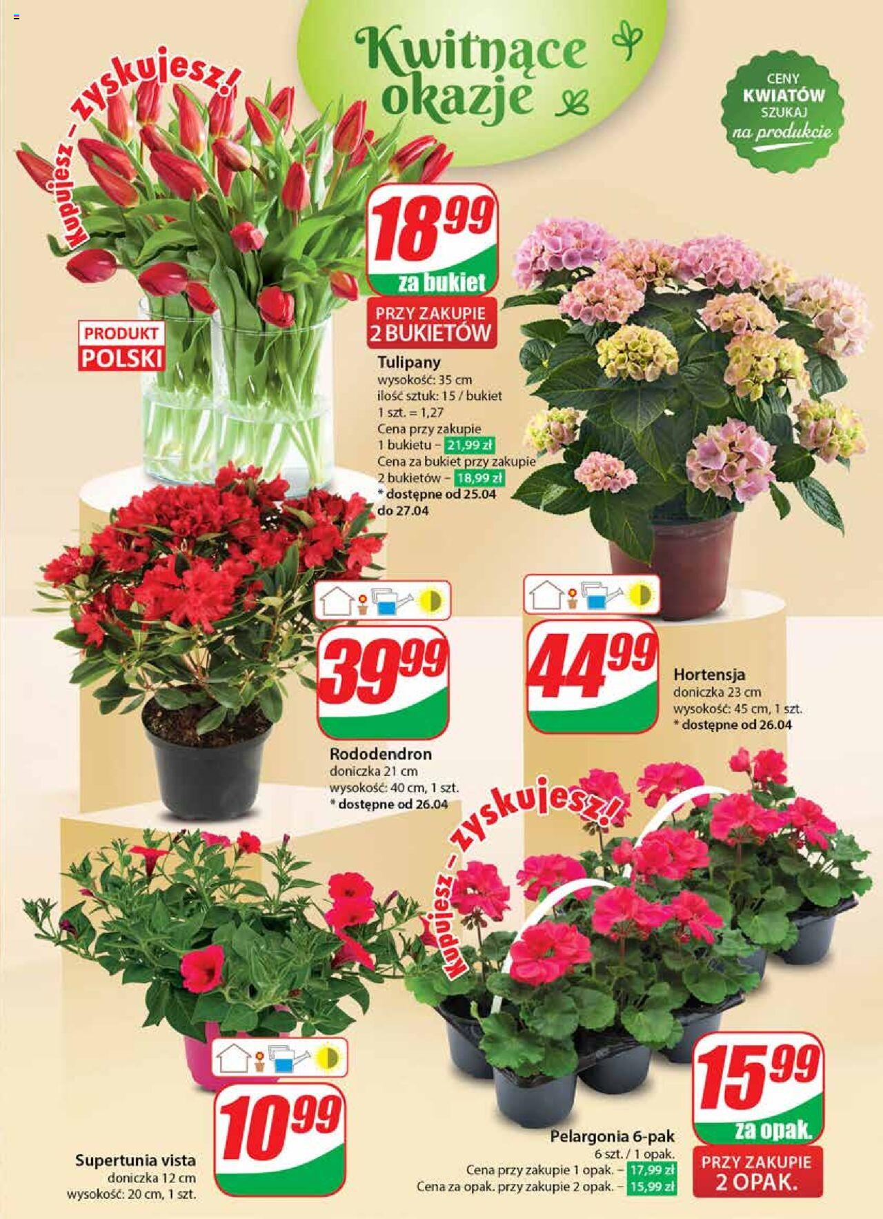 Dino gazetka ważna od 24.04.2024 do 30.04.2024 strona 51