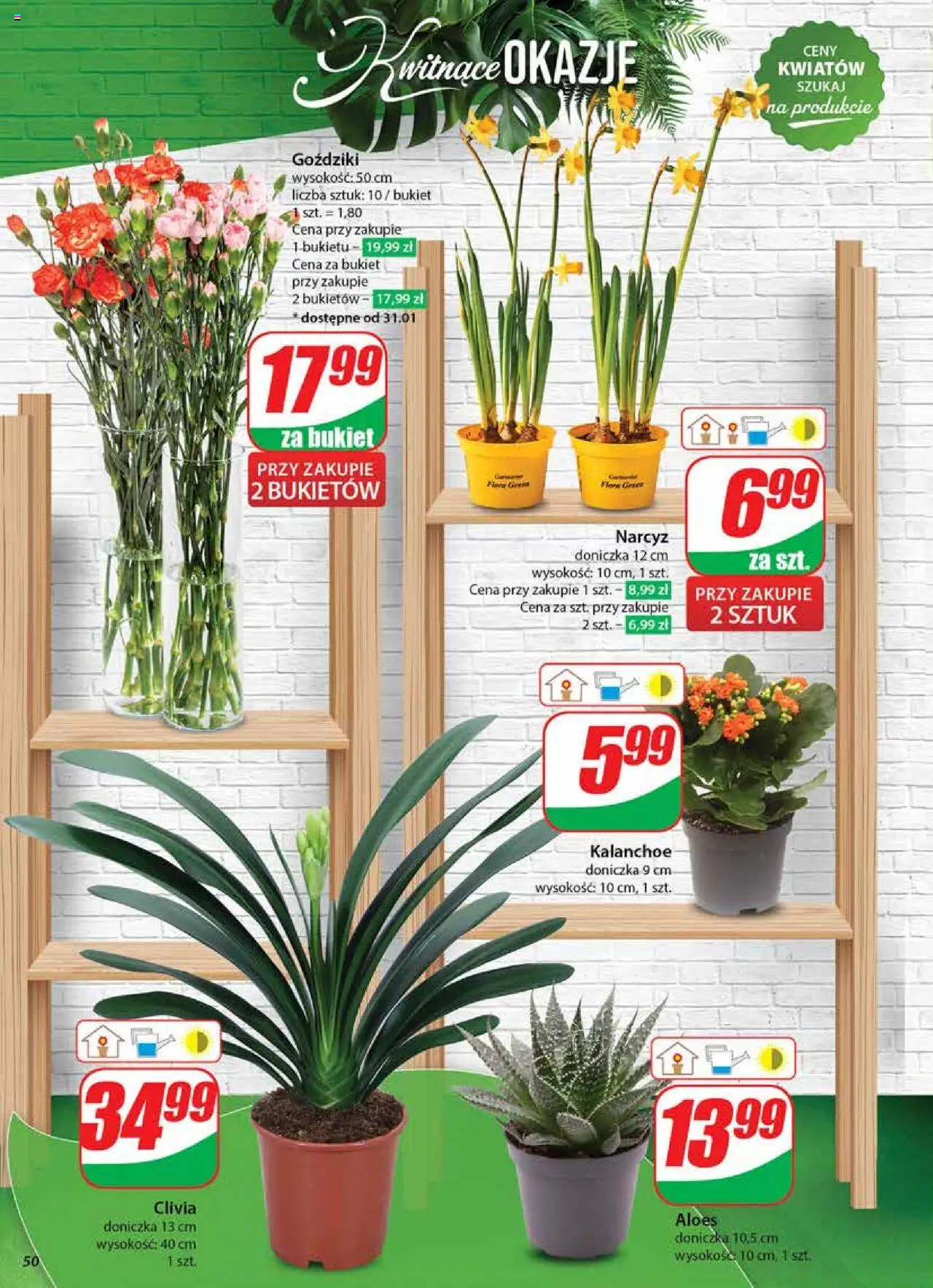 Dino gazetka ważna od 29.01.2025 do 04.02.2025 strona 50