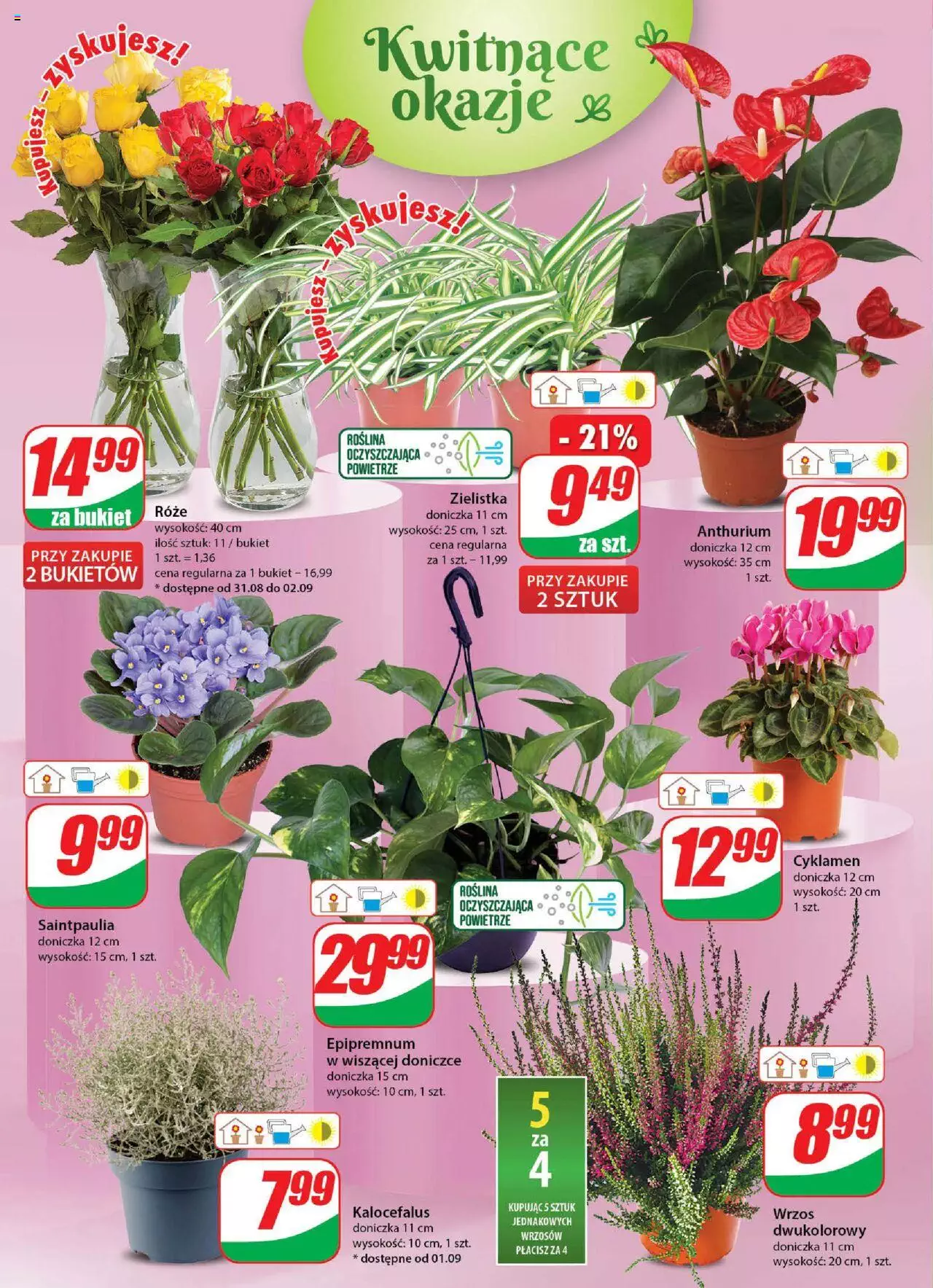 Dino gazetka ważna od 30.08.2023 do 05.09.2023 strona 18