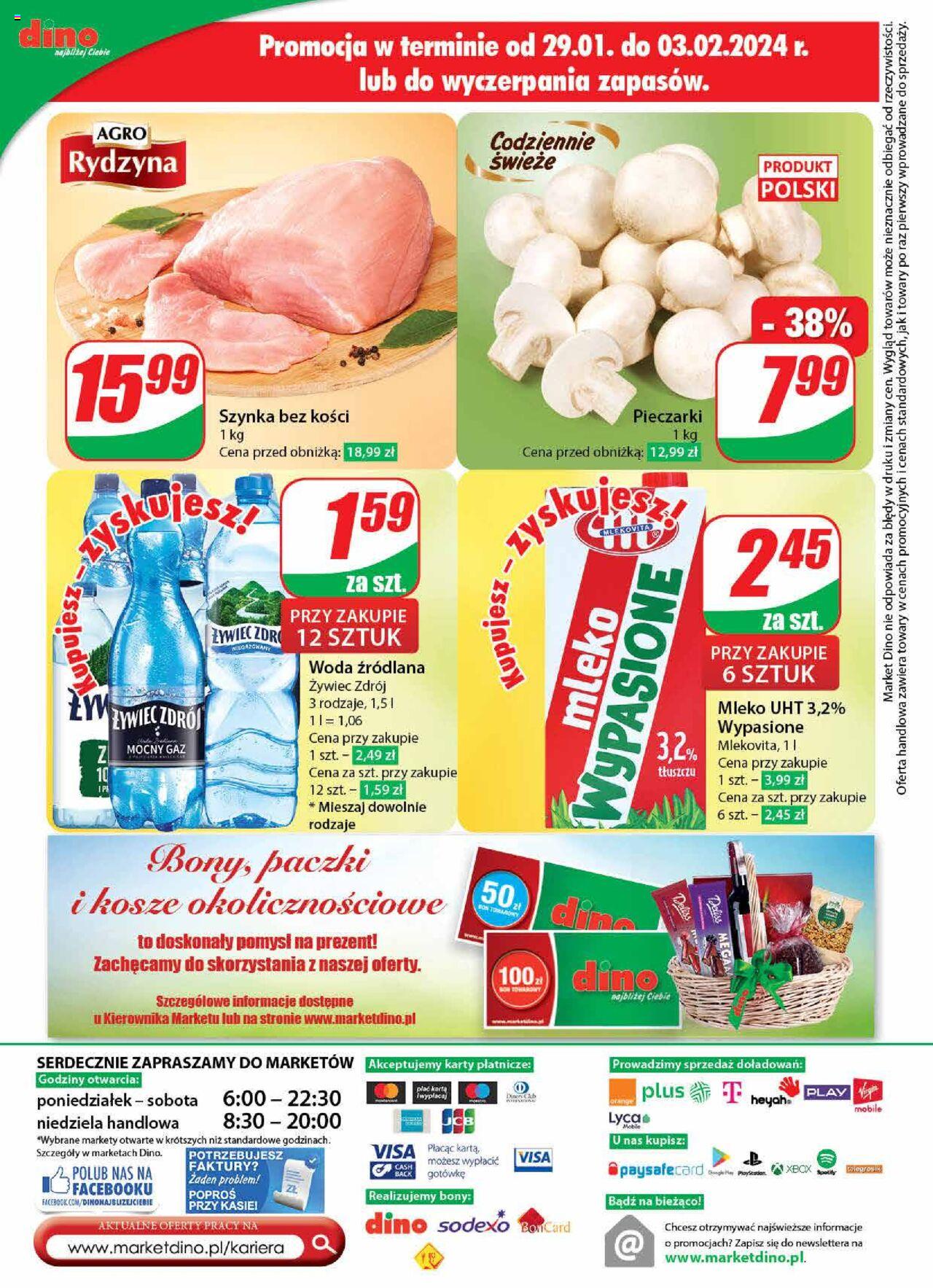 Dino gazetka ważna od 31.01.2024 do 06.02.2024 strona 56