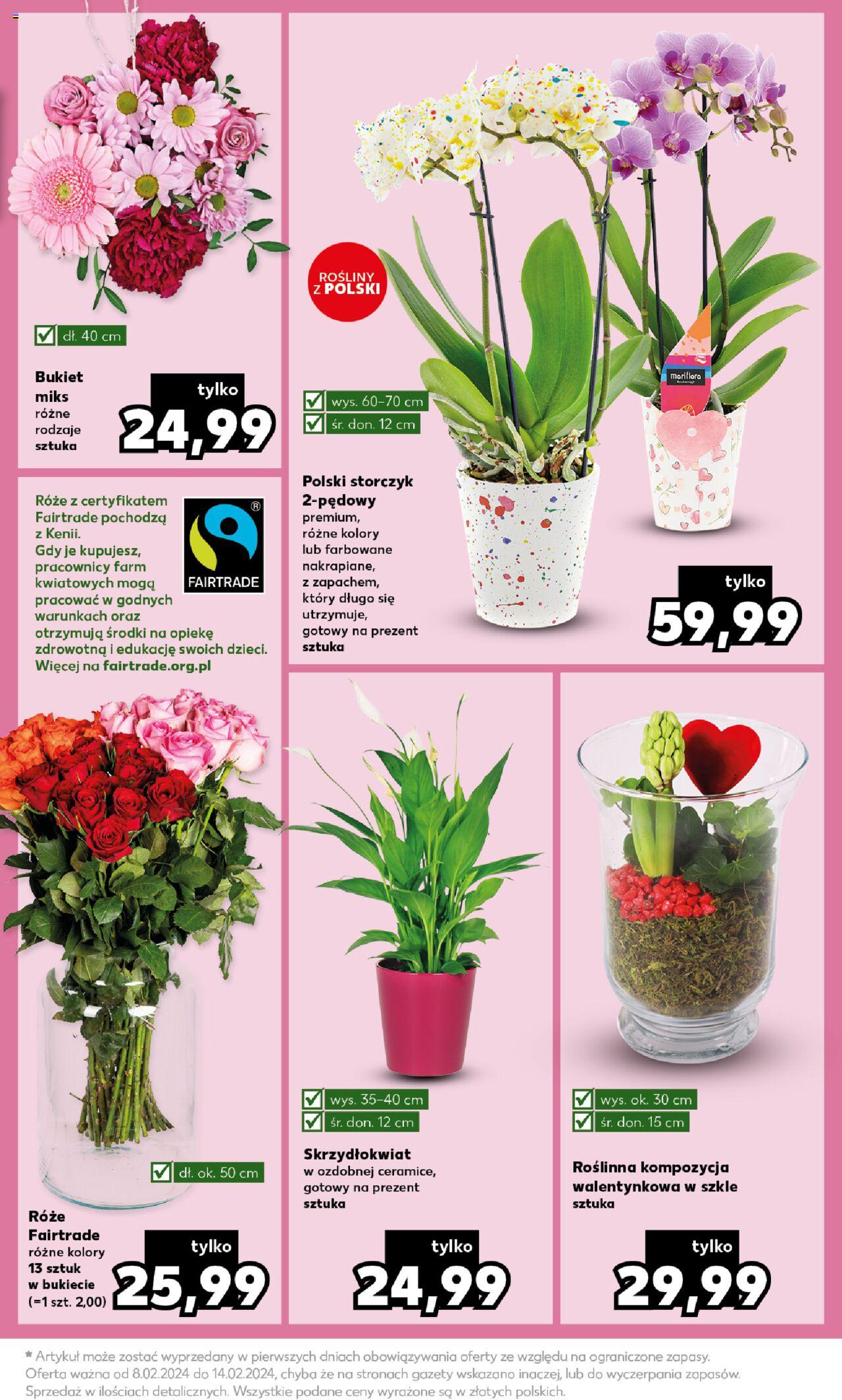 KAUFLAND gazetka Mocny start ważna od  12.02.2024 do 14.02.2024 strona 11