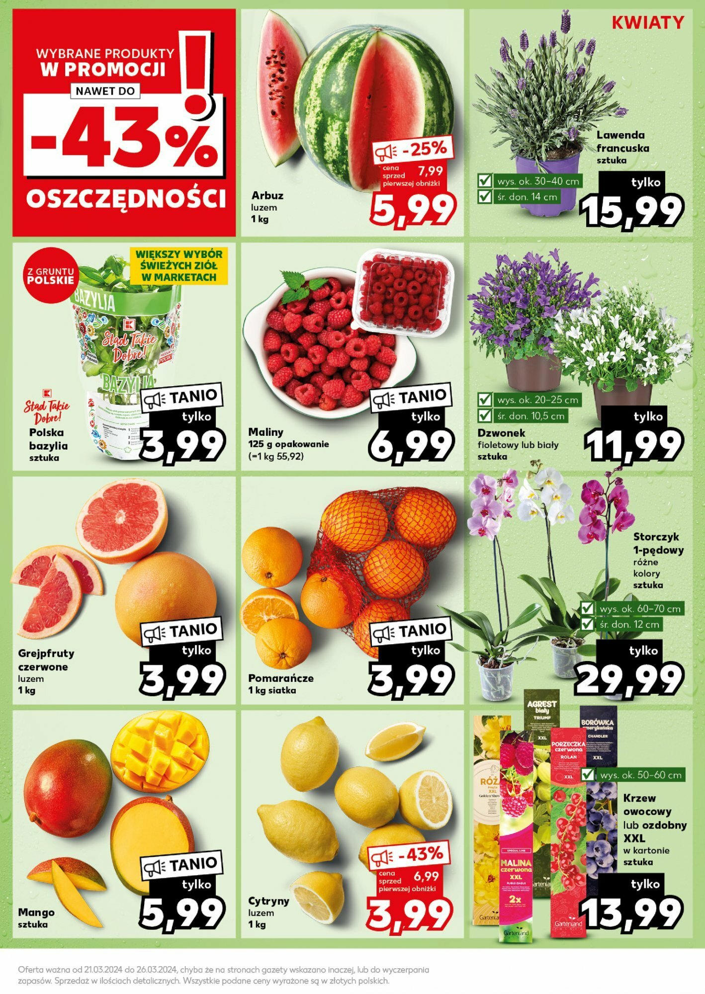 Kaufland gazetka Mocny start ważna od 25.03.2024 do 26.03.2024 strona 13