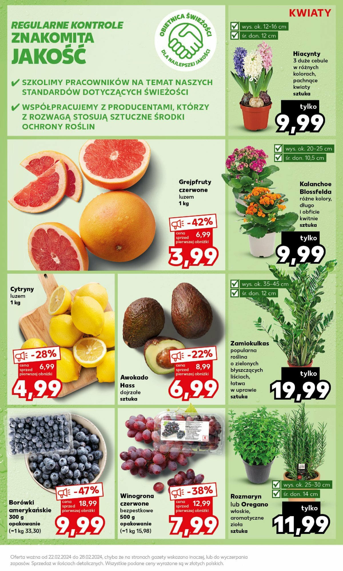 KAUFLAND gazetka Mocny start ważna od 26.02.2024 do 28.02.2024 strona 17