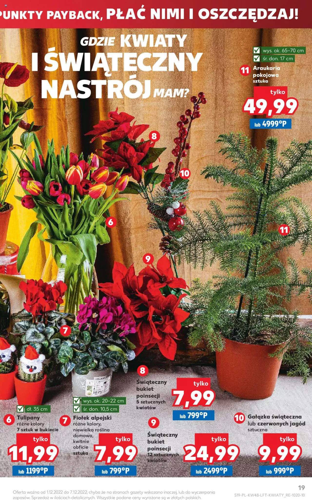 KAUFLAND gazetka ważna  od 01.12.2022 do 07.12.2022 strona 19