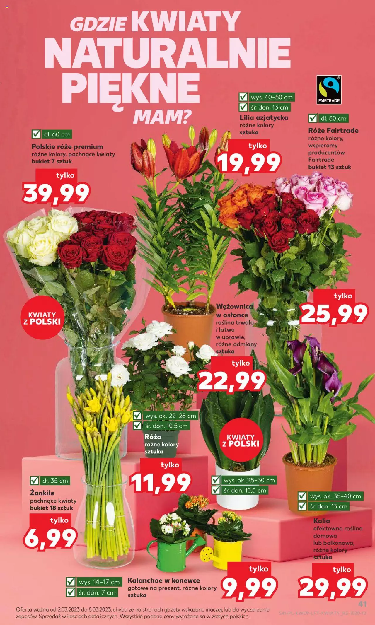 KAUFLAND gazetka ważna od  02.03.2023 do 08.03.2023 strona 41