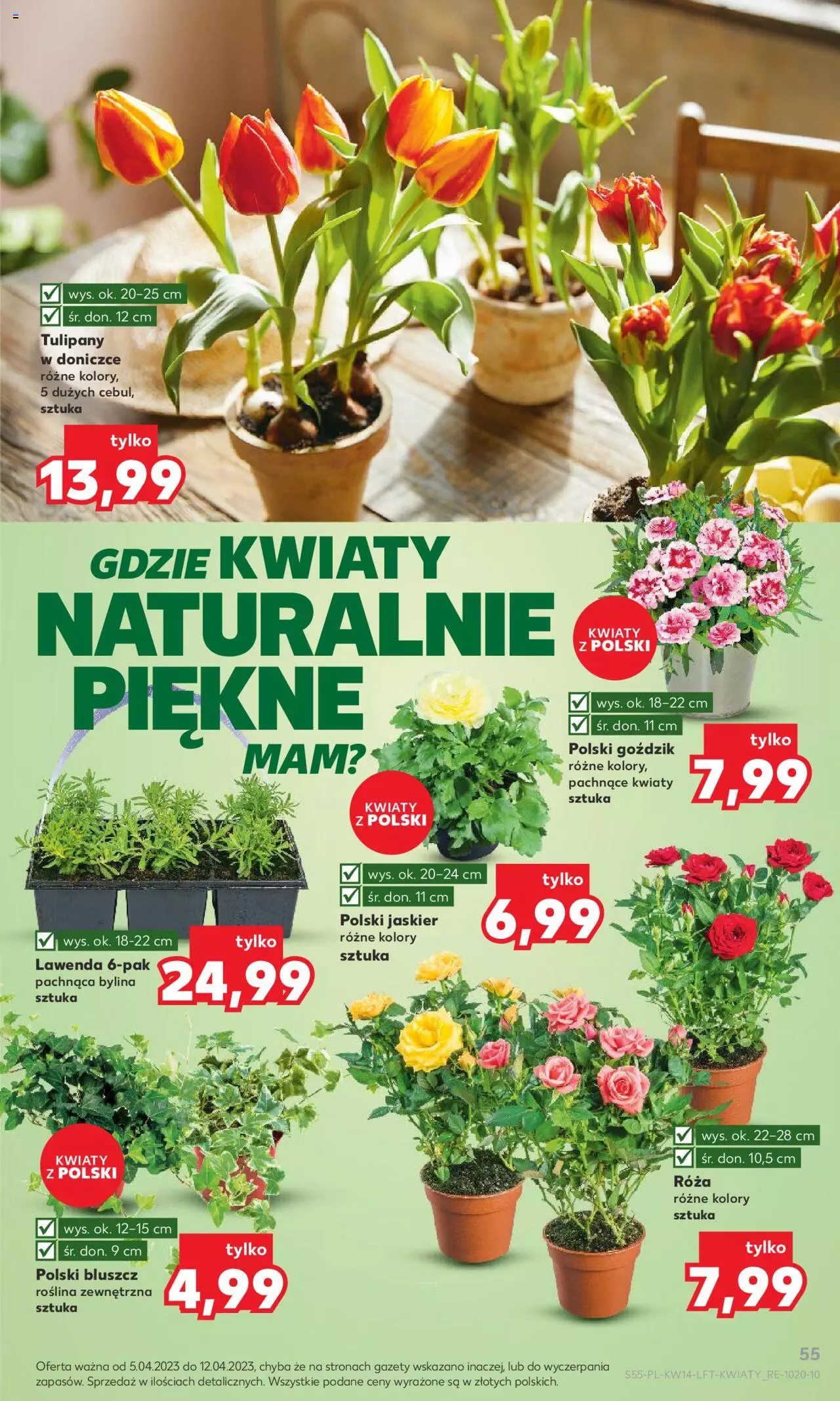 KAUFLAND gazetka ważna od 05.04.2023 do 12.04.2023 strona 55