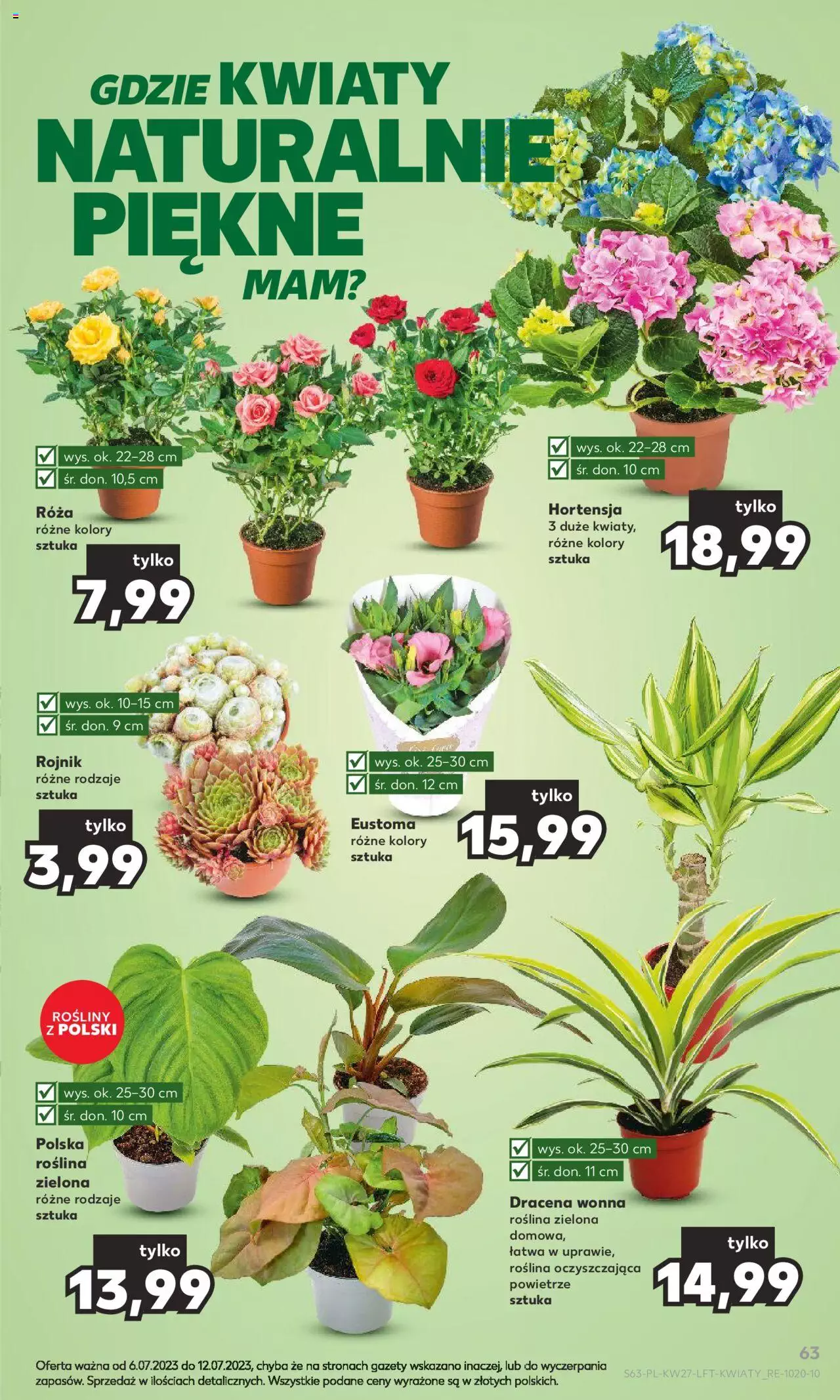 KAUFLAND gazetka ważna od 06.07.2023 do 12.07.2023 strona 62