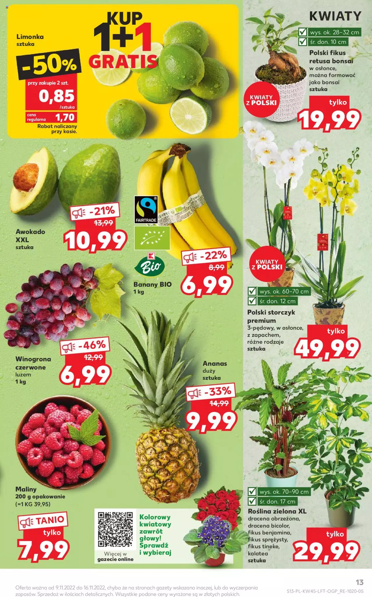 KAUFLAND gazetka ważna od 09.11.2022 do 16.11.2022 strona 13