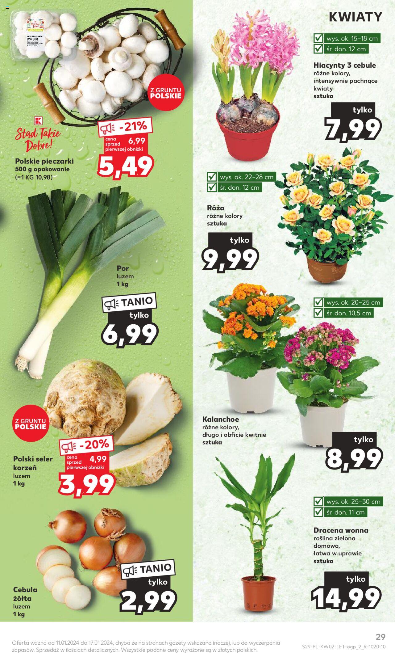 KAUFLAND gazetka ważna od 11.01.2024 do 17.01.2024 strona 29