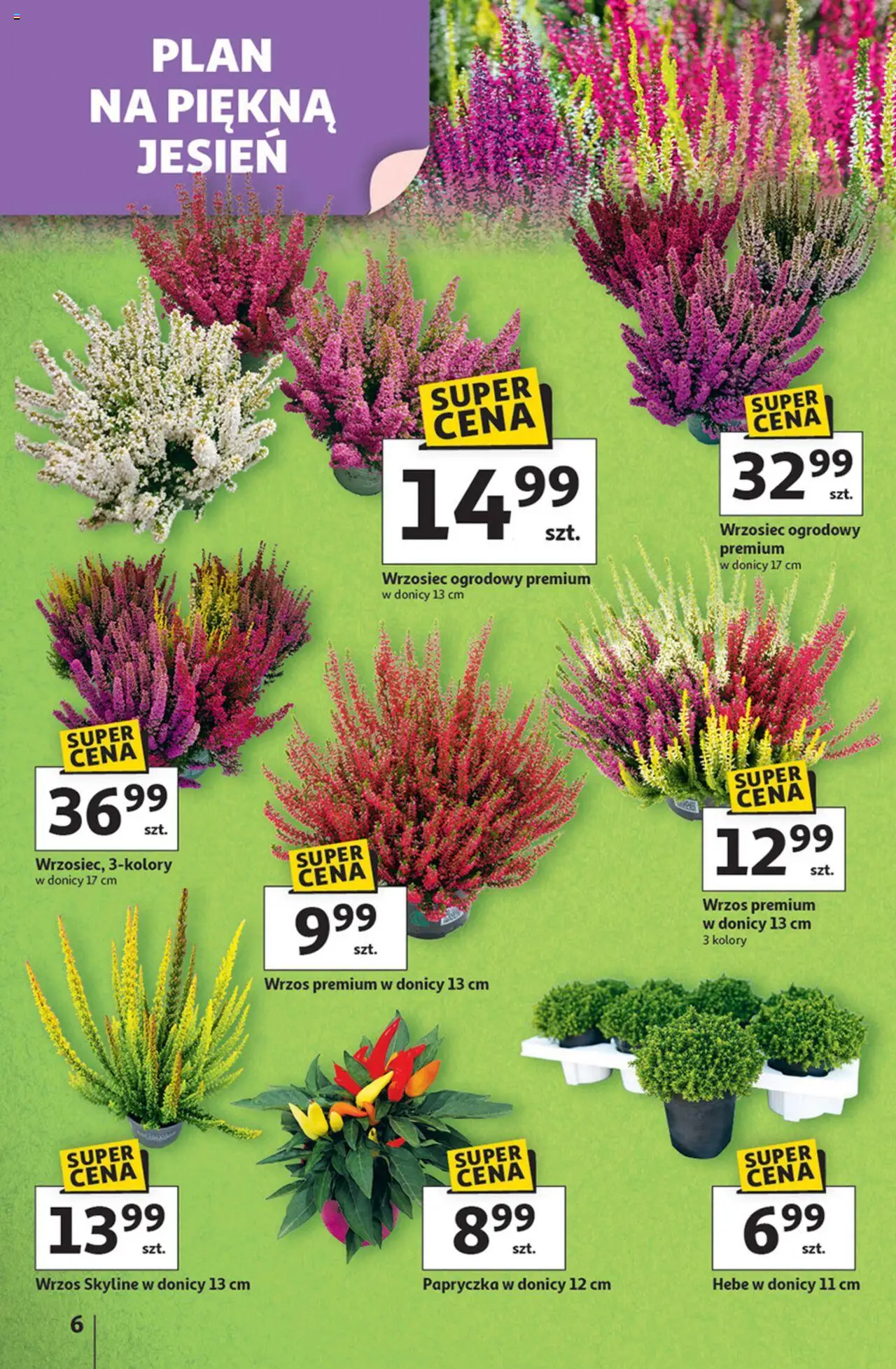 KAUFLAND gazetka ważna od 11.09.2025 do 17.09.2025 strona 6