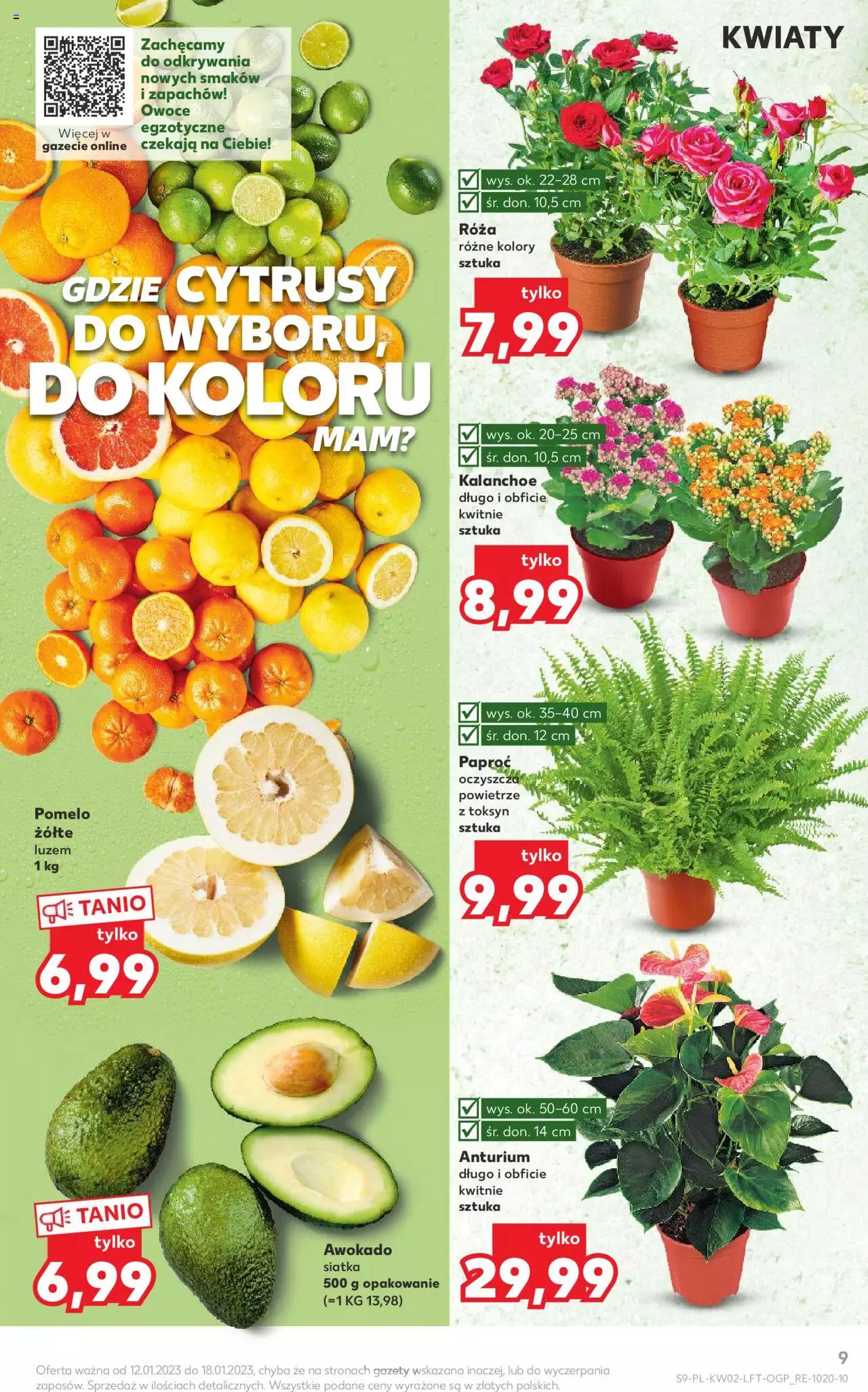 KAUFLAND gazetka ważna od  12.01.2023 do 18.01.2023 strona 9