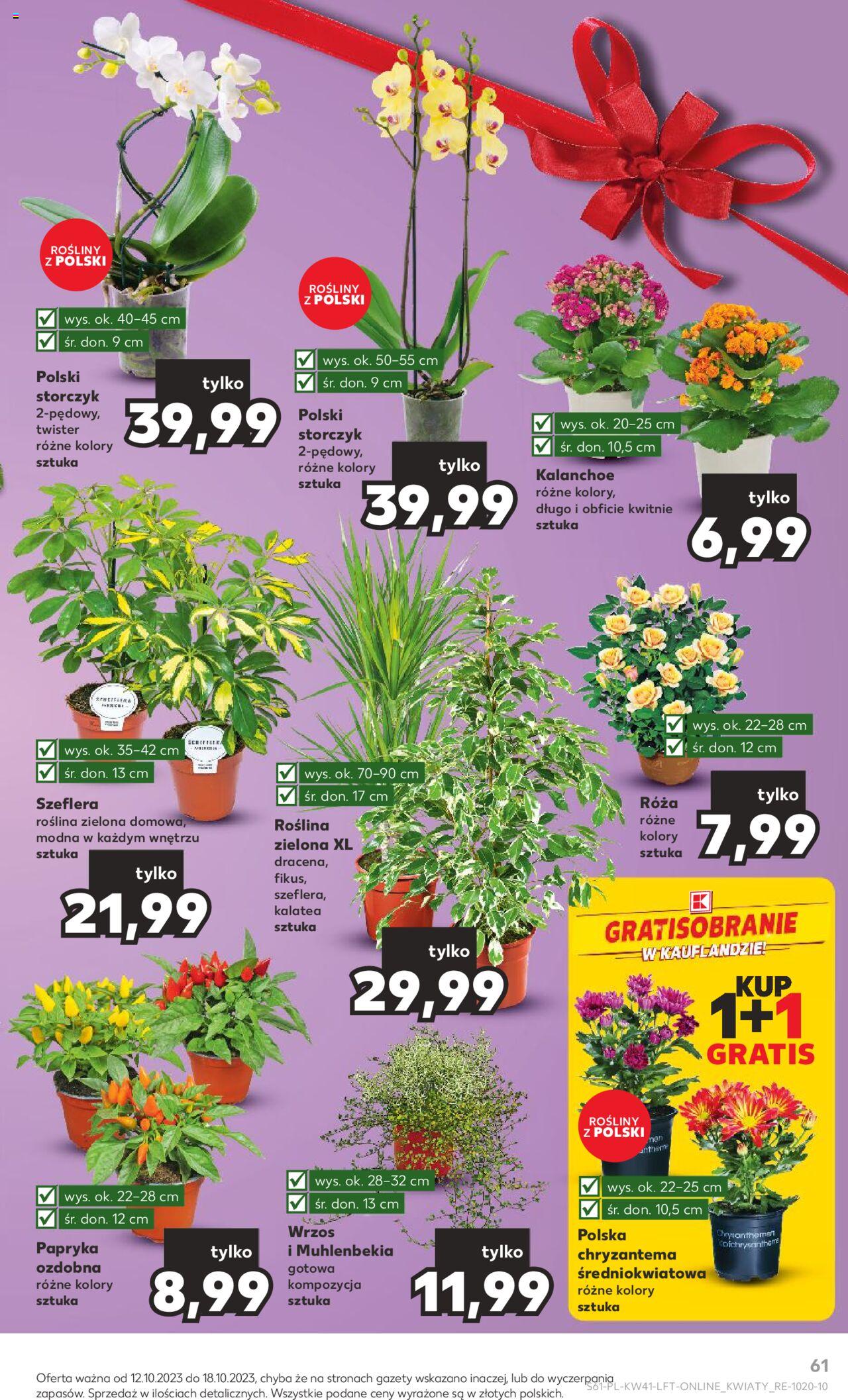 KAUFLAND gazetka ważna od 12.10.2023 do 18.10.2023 strona 59