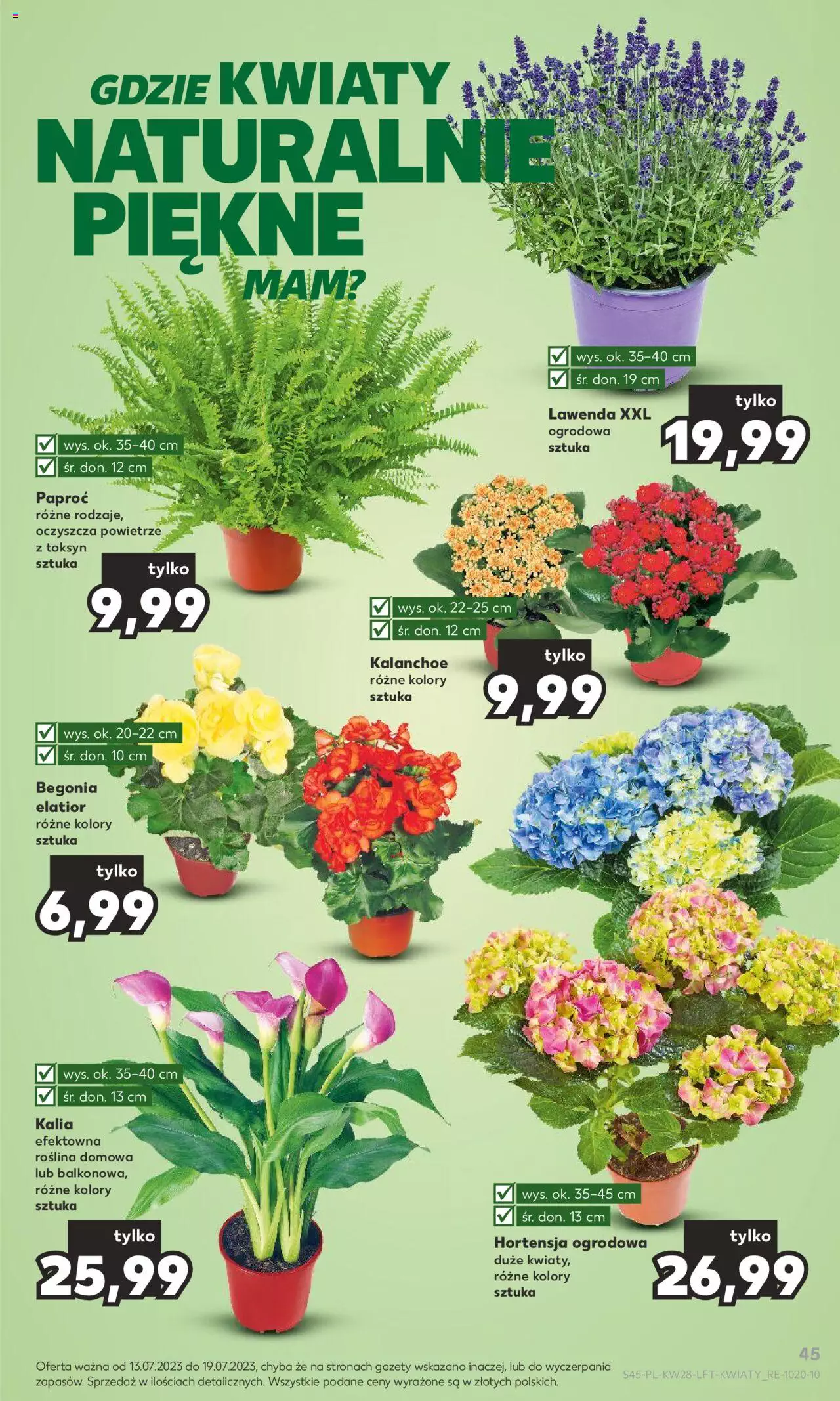 KAUFLAND gazetka ważna od 13.07.2023 do 19.07.2023 strona 45