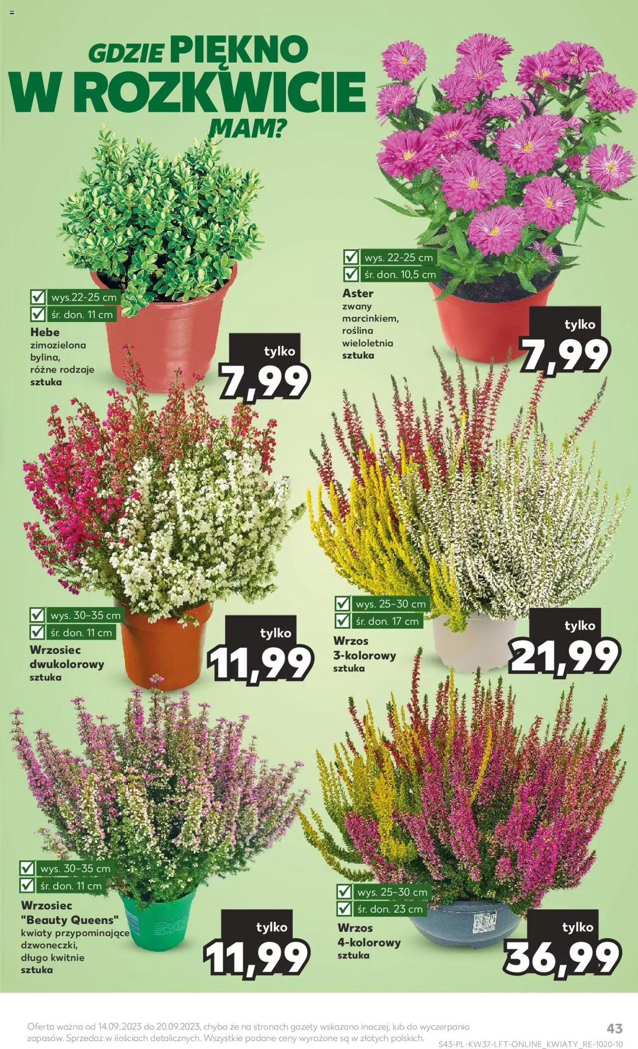KAUFLAND gazetka ważna od 14.09.2023 do 20.09.2023 strona 43