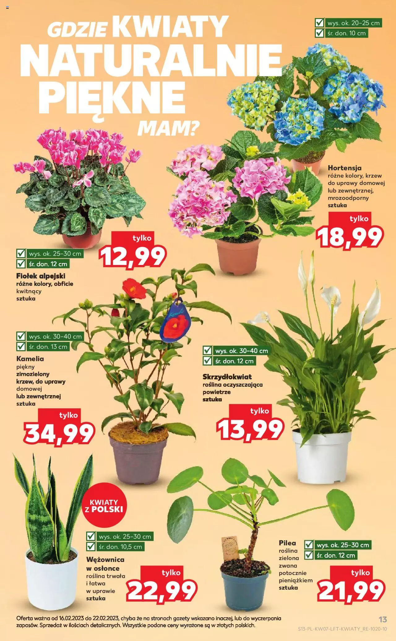 KAUFLAND gazetka ważna od 16.02.2023 do 22.02.2023 strona 12