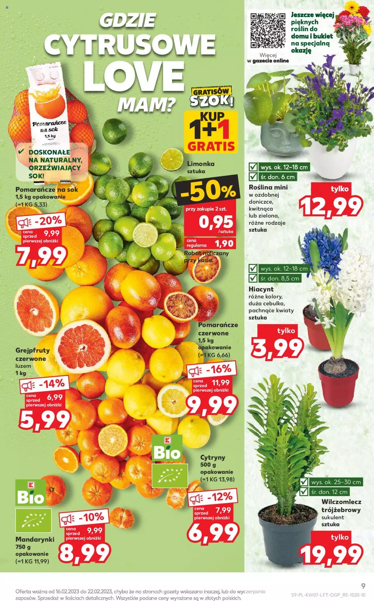 KAUFLAND gazetka ważna od 16.02.2023 do 22.02.2023 strona 9