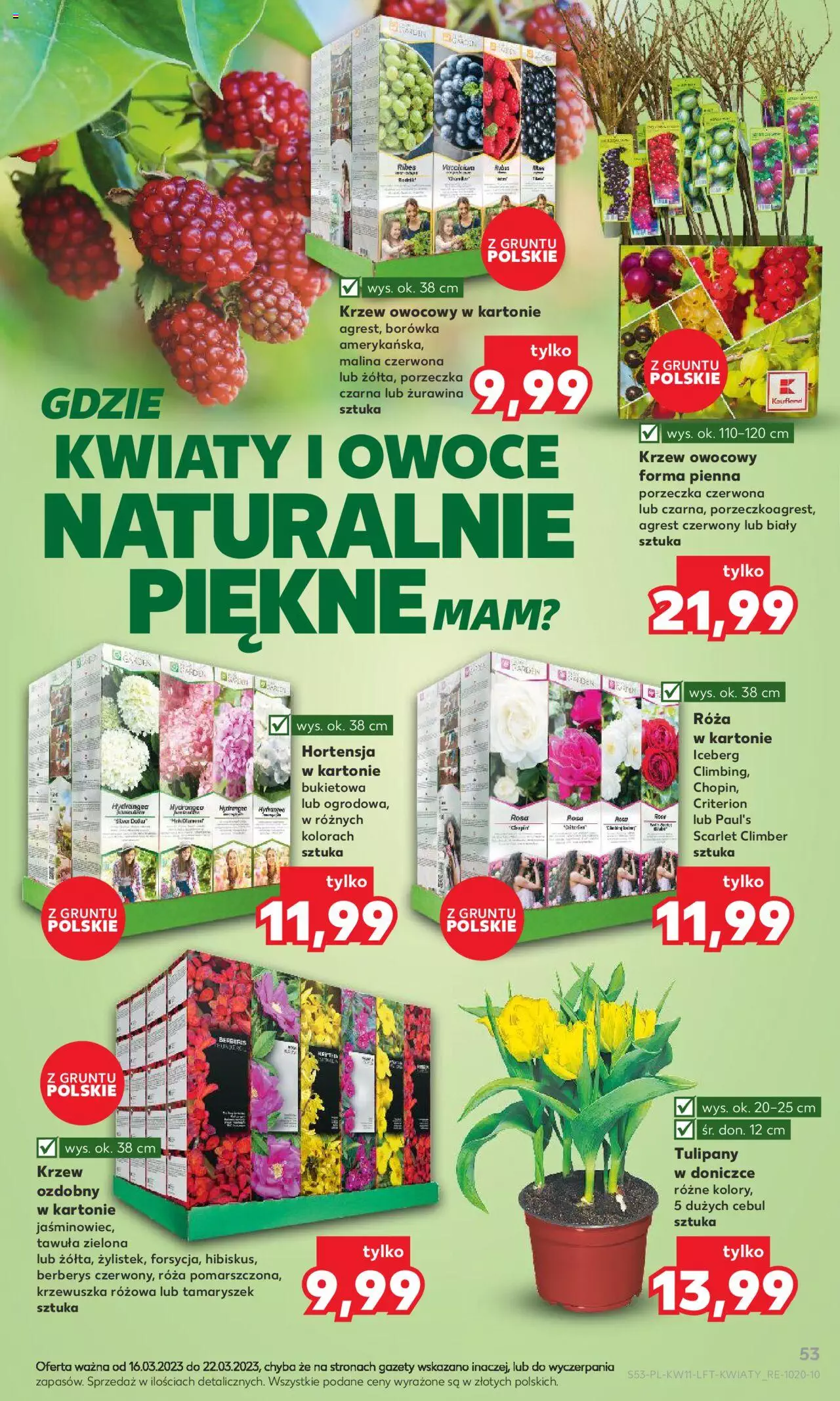 Kaufland gazetka ważna od 16.03.2023 do 22.03.2023 strona 53