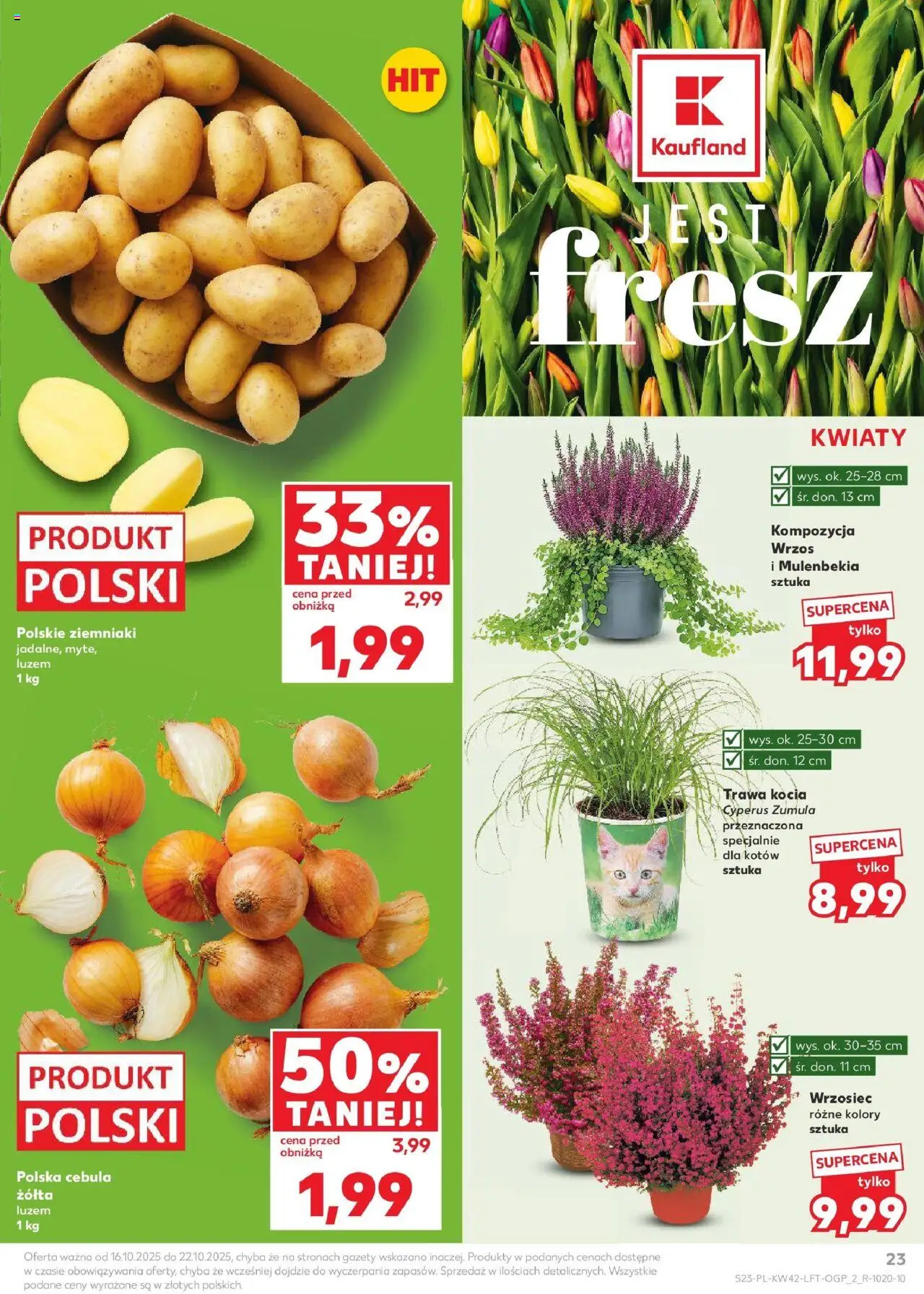 KAUFLAND gazetka  ważna od 16.10.2025 do 22.10.2025 strona 23
