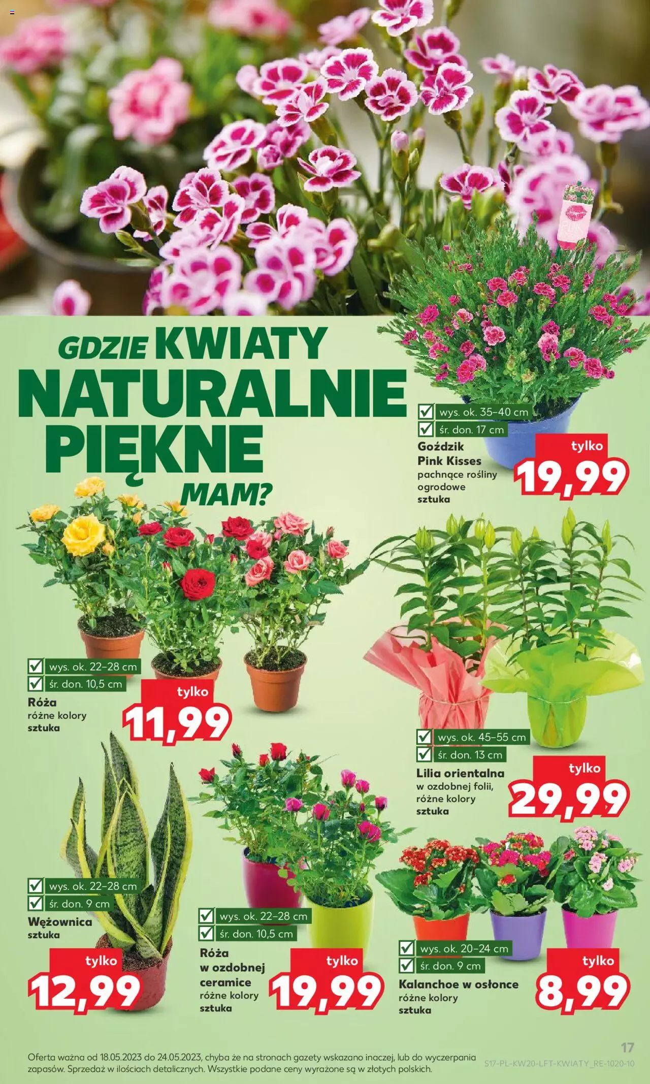 KAUFLAND gazetka ważna od 18.05.2023 do 24.05.2023 strona 17