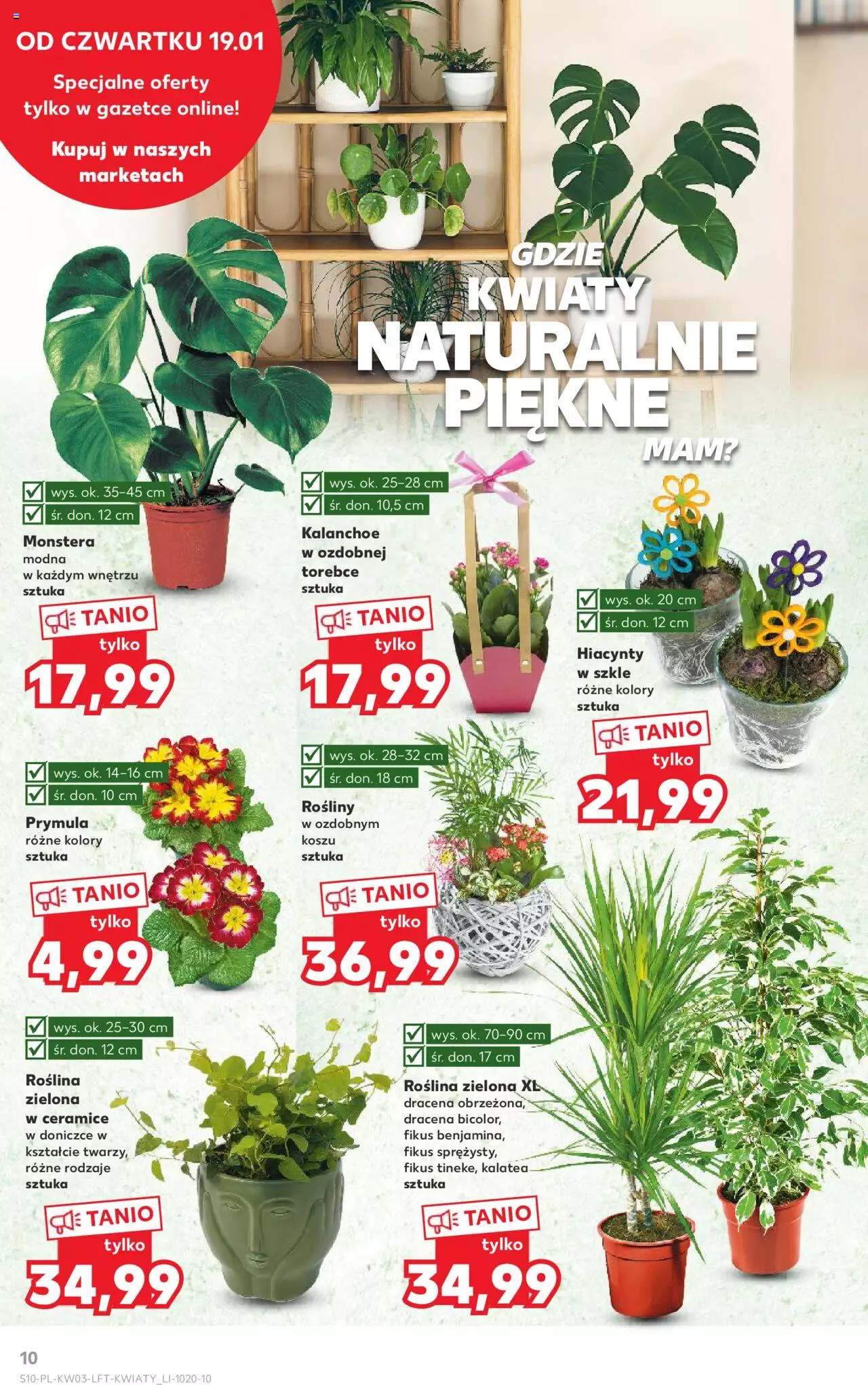 KAUFLAND gazetka ważna od 19.01.2023 do 25.01.2023 strona 10