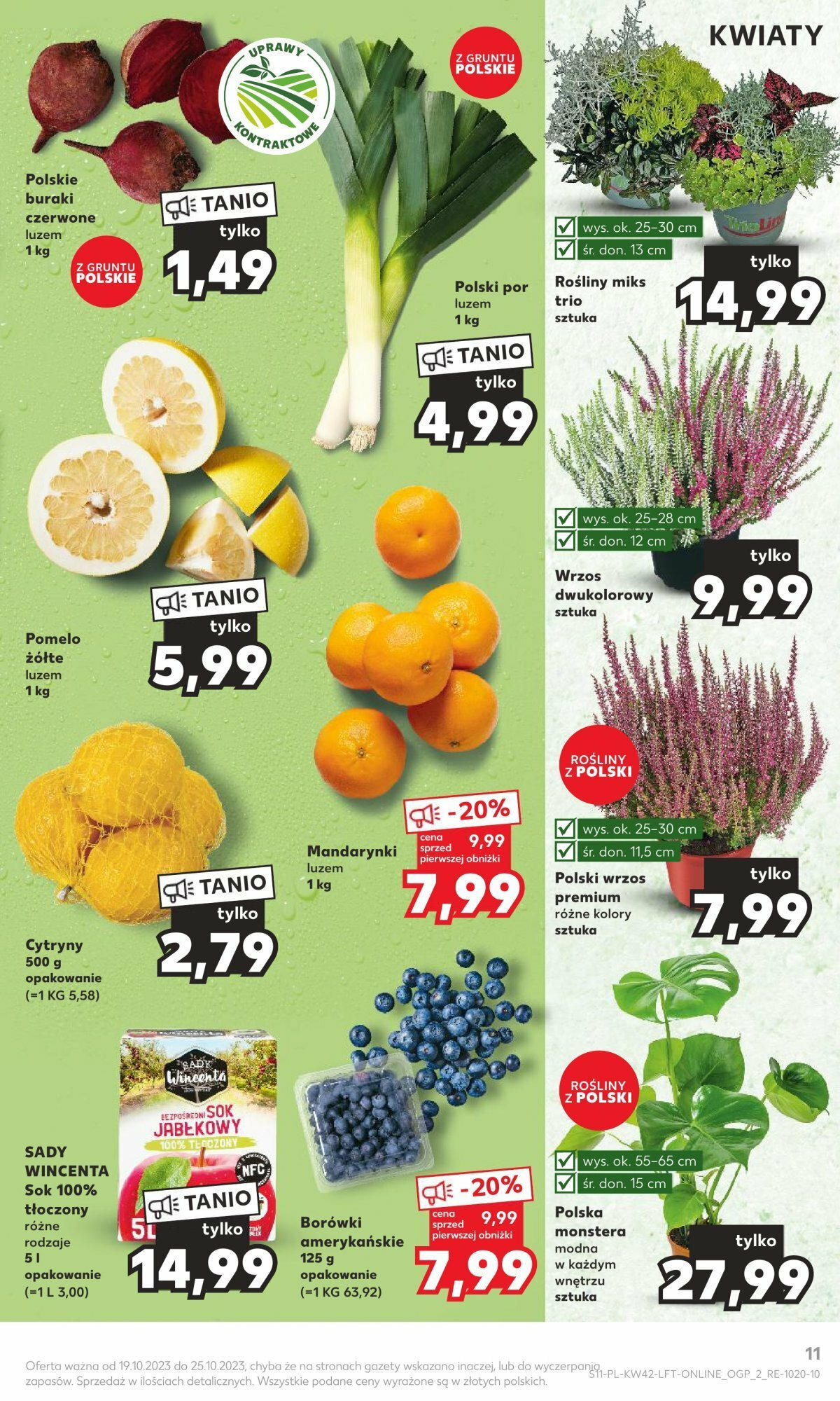 KAUFLAND gazetka ważna od 19.10.2023 do 25.10.2023 strona 9