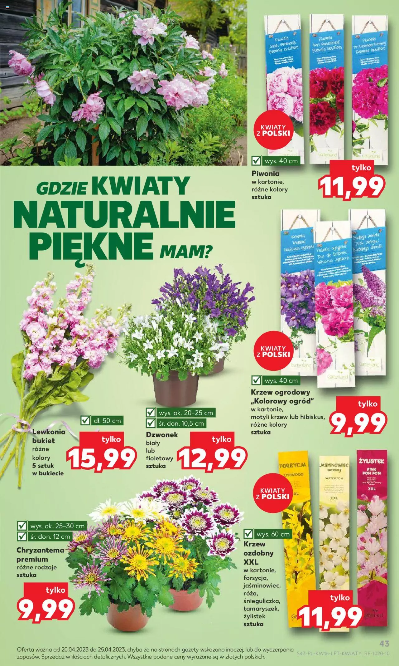 KAUFLAND gazetka ważna  od  20.04.2023 do 25.04.2023 strona 43