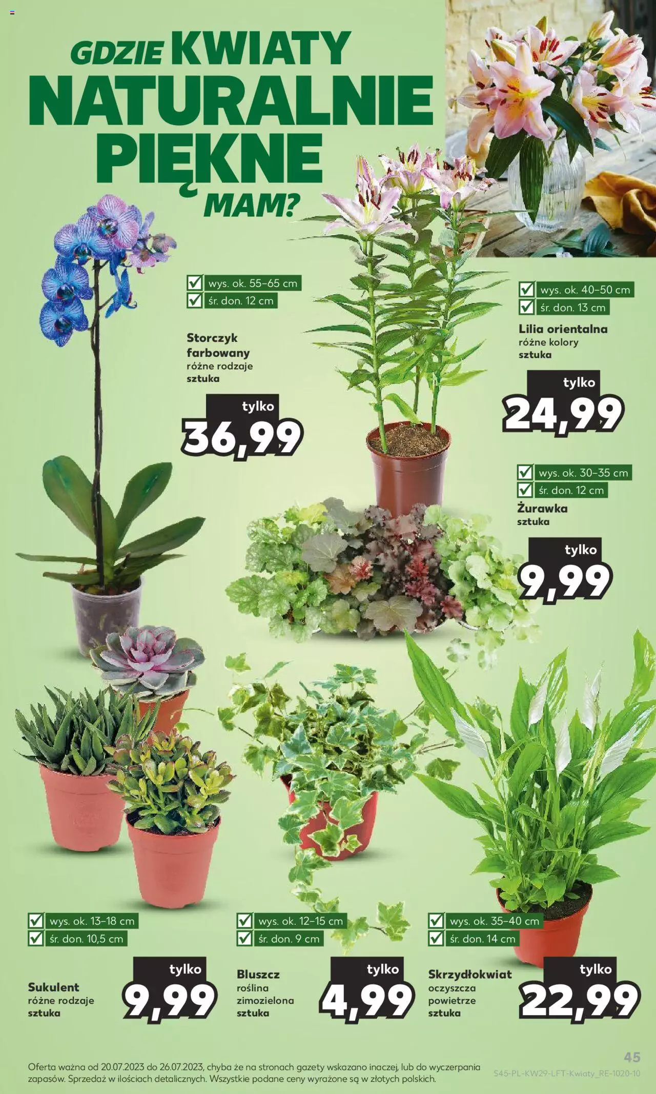 KAUFLAND gazetka ważna od 20.07.2023 do 26.07.2023 strona 45