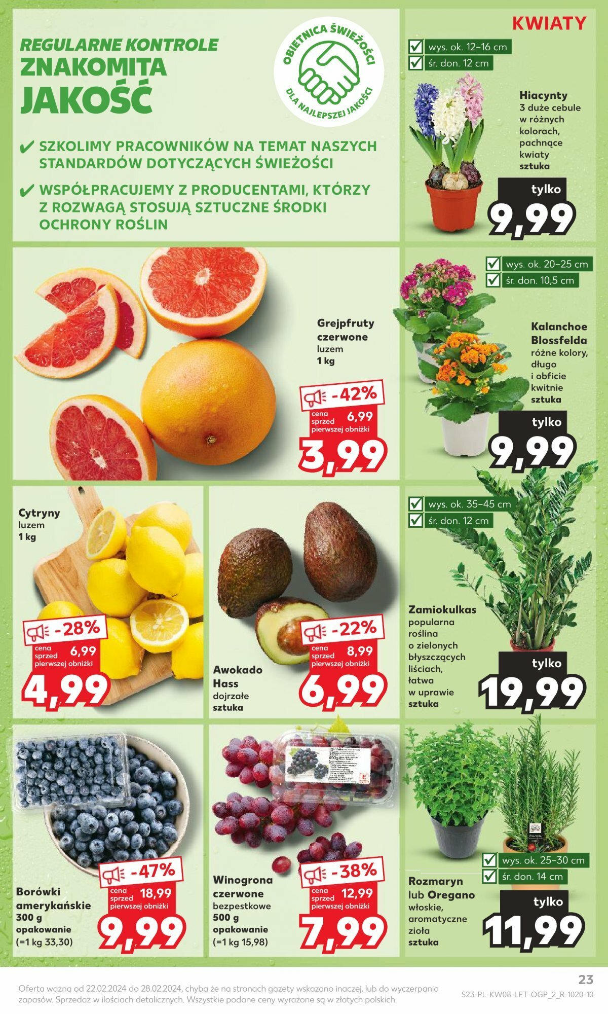 KAUFLAND gazetka ważna od 22.02.2024 do 28.02.2024 strona 19