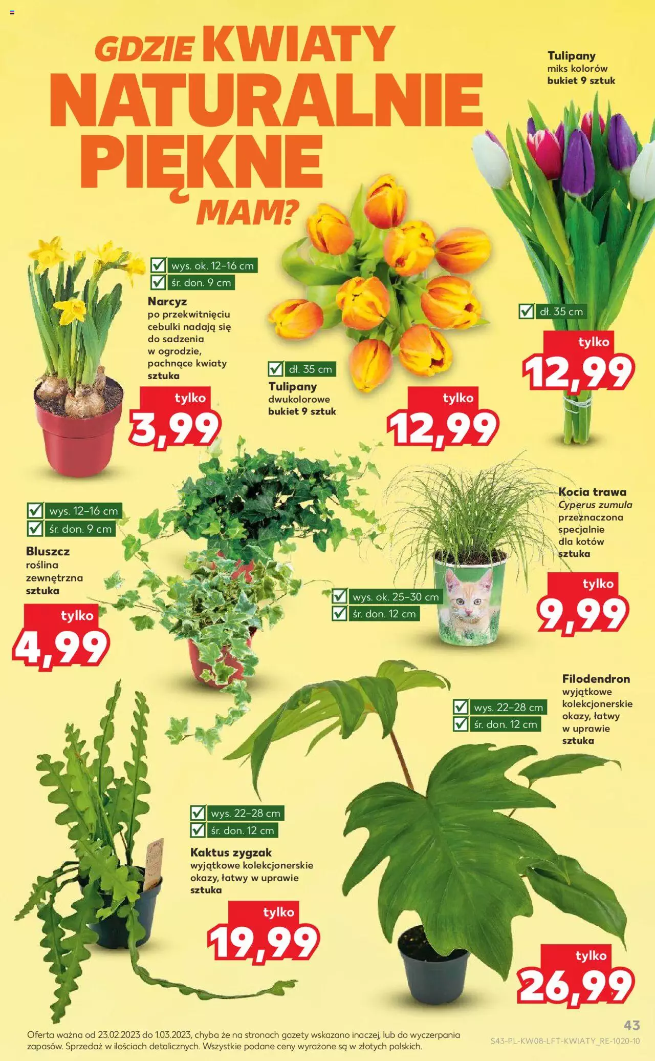 KAUFLAND gazetka ważna od 23.02.2023 do 01.03.2023 strona 43