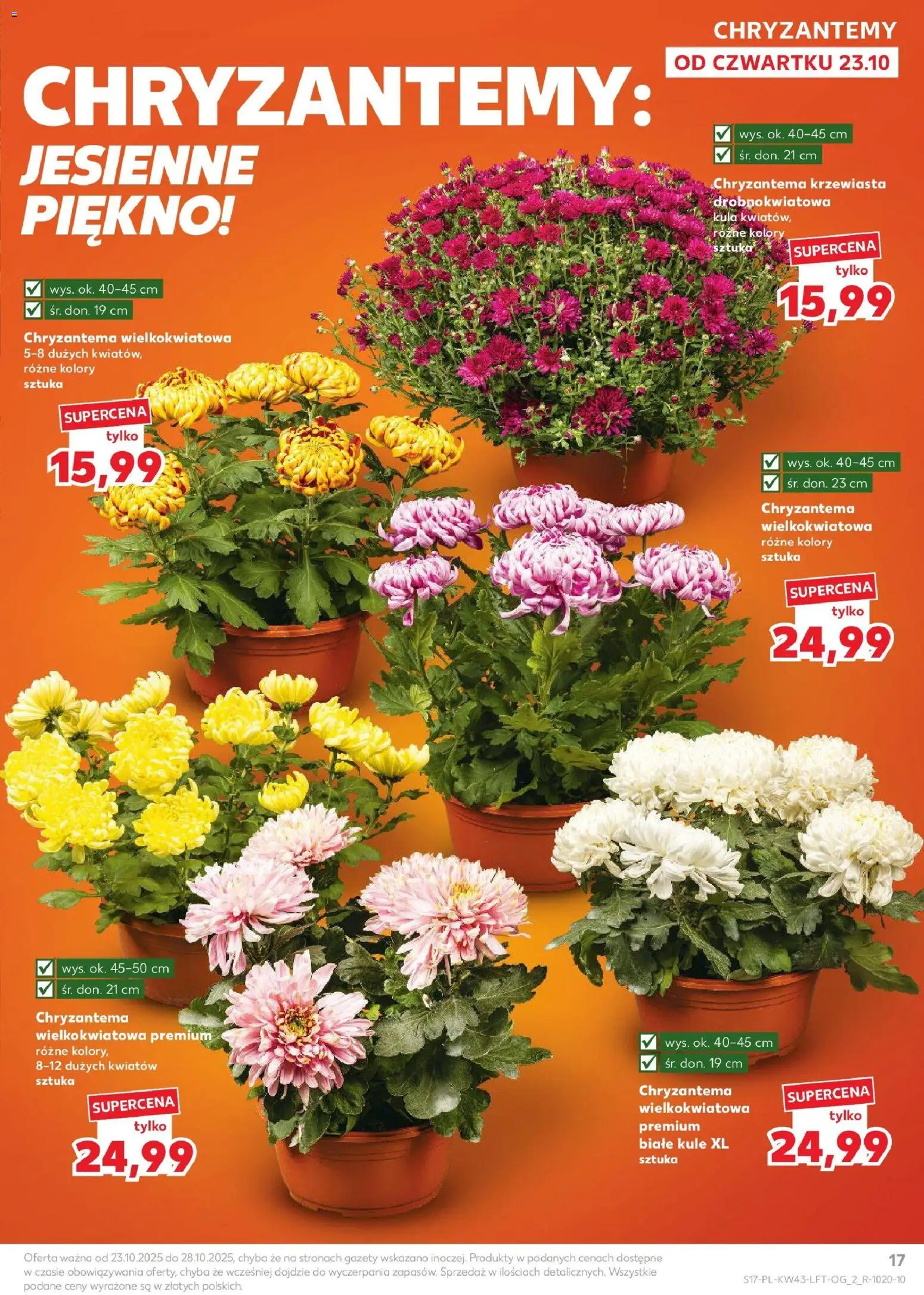 Kaufland gazetka ważna od 23.10.2025 do 28.10.2025 strona 17