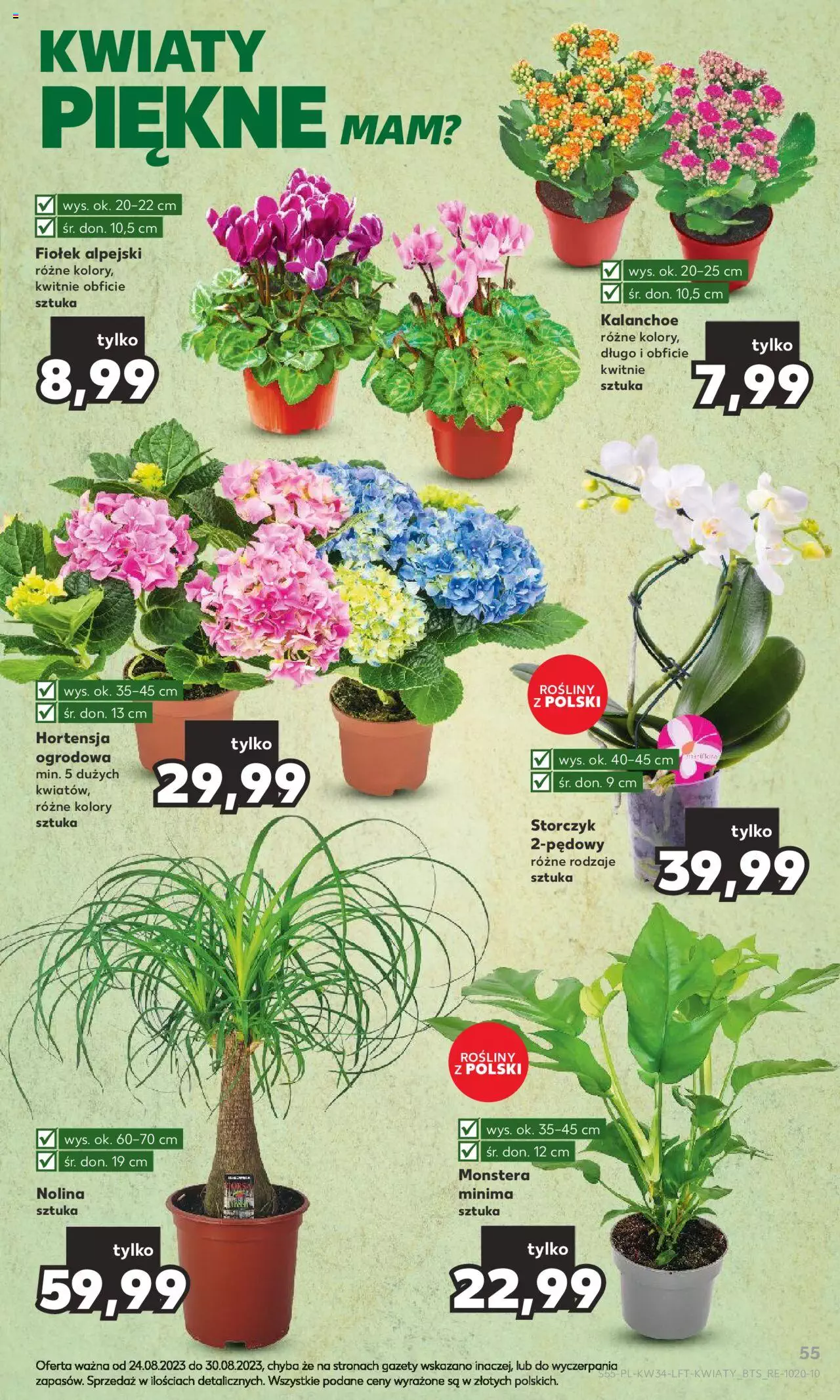 KAUFLAND gazetka ważna od 24.08.2023 do 30.08.2023 strona 55