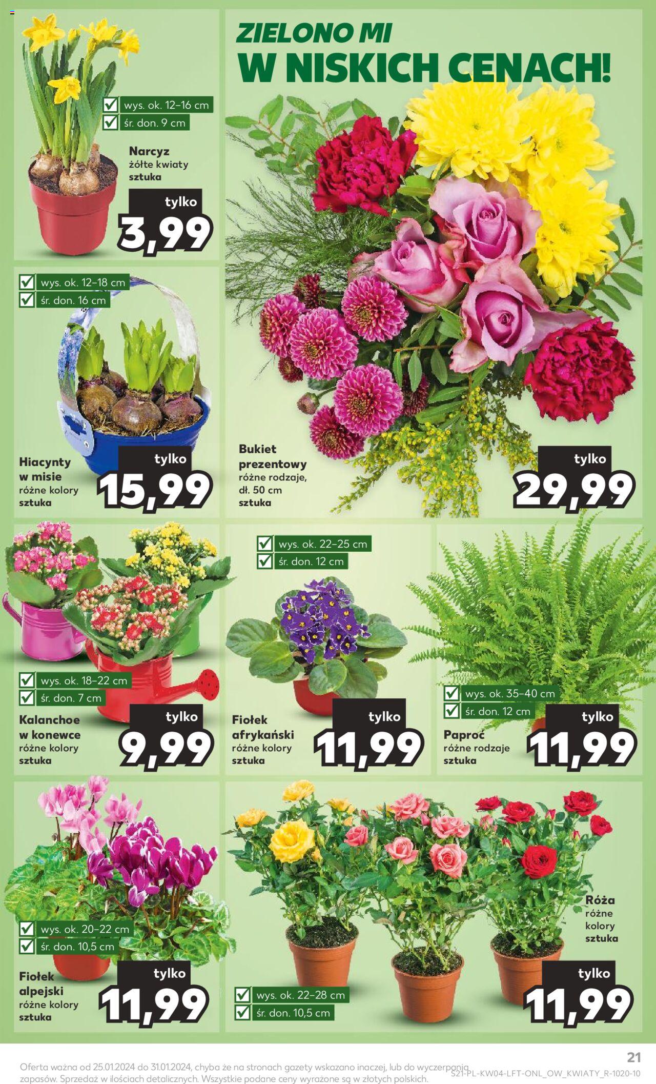 KAUFLAND gazetka ważna od 25.01.2024 do 31.01.2024 strona 21